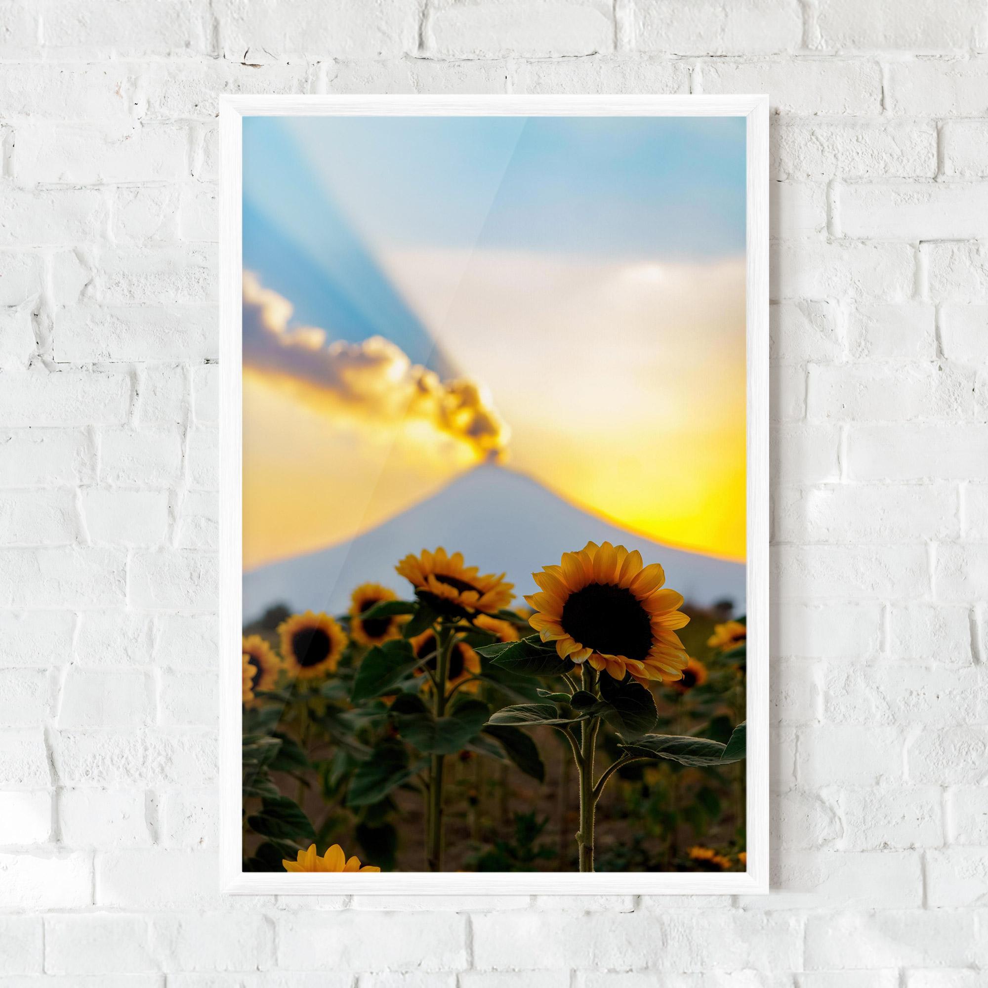 Gerahmte Poster Sunflower Sunset mockup 0