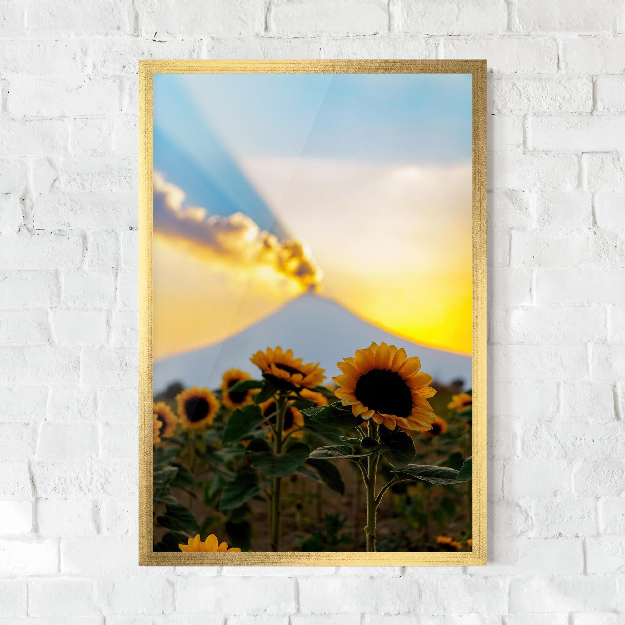 Gerahmte Poster Sunflower Sunset mockup 0