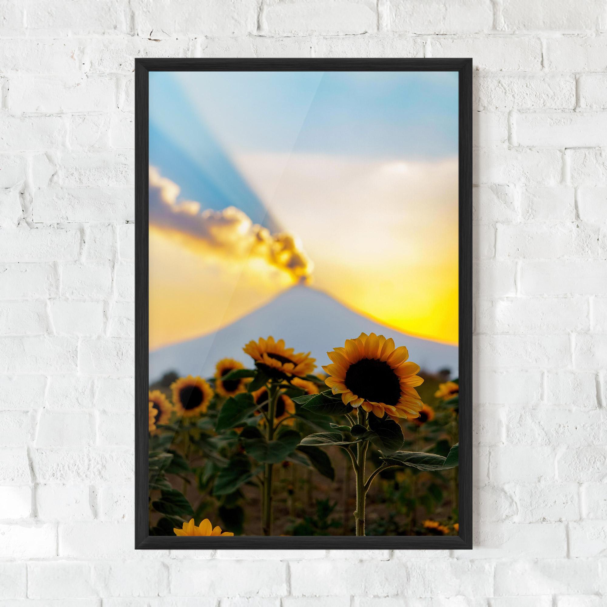 Gerahmte Poster Sunflower Sunset mockup 0