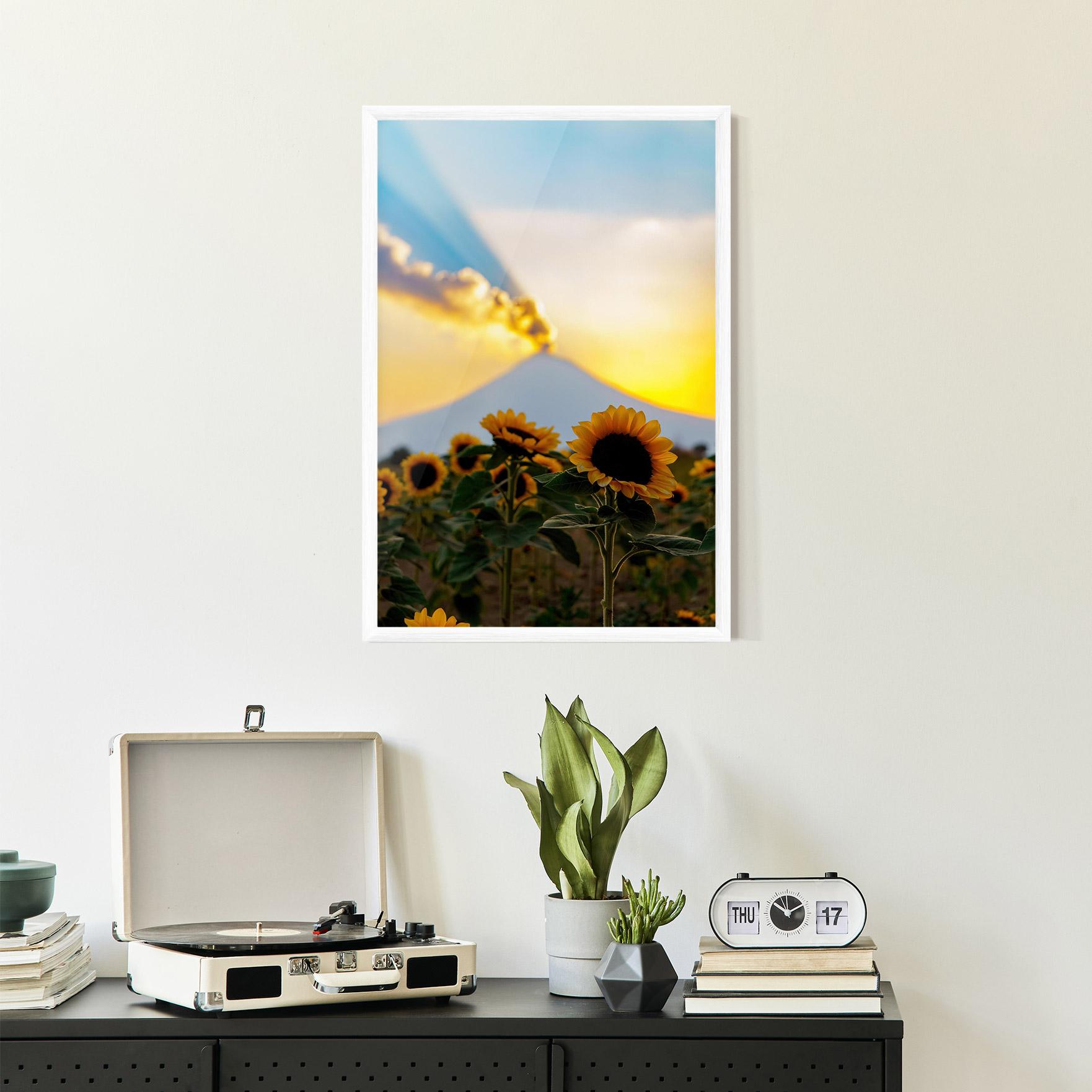 Gerahmte Poster Sunflower Sunset mockup 2