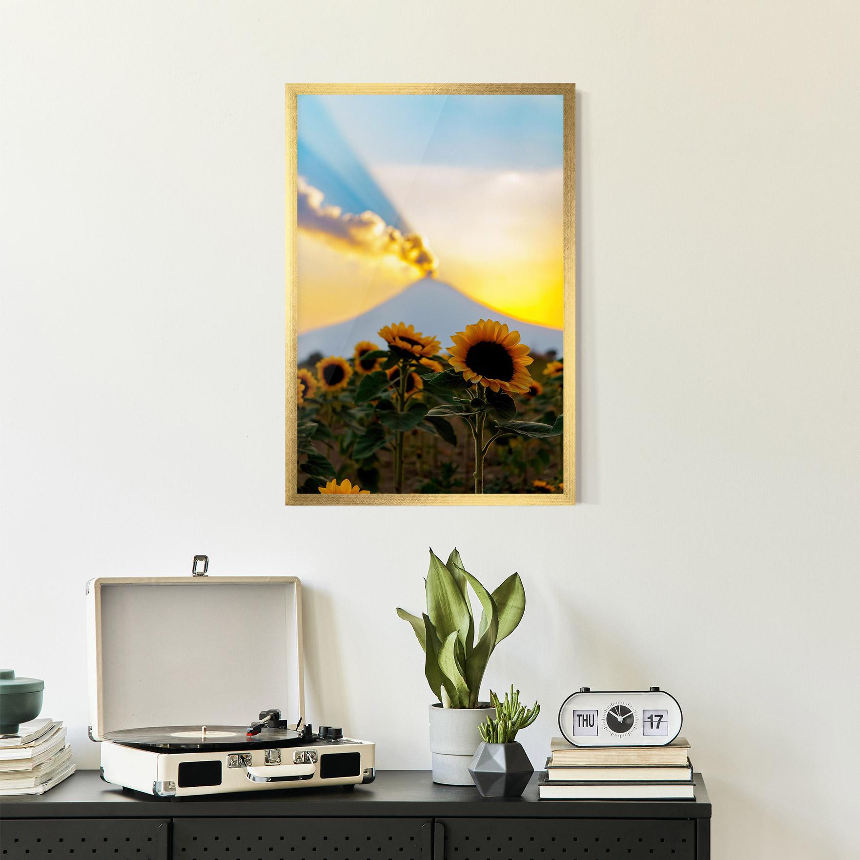 Gerahmte Poster Sunflower Sunset mockup 2