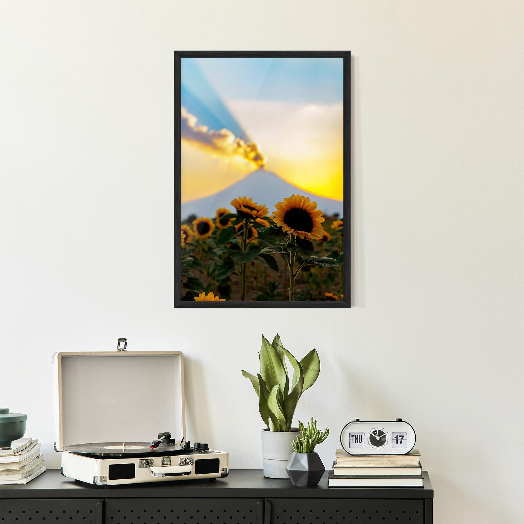 Gerahmte Poster Sunflower Sunset mockup 2