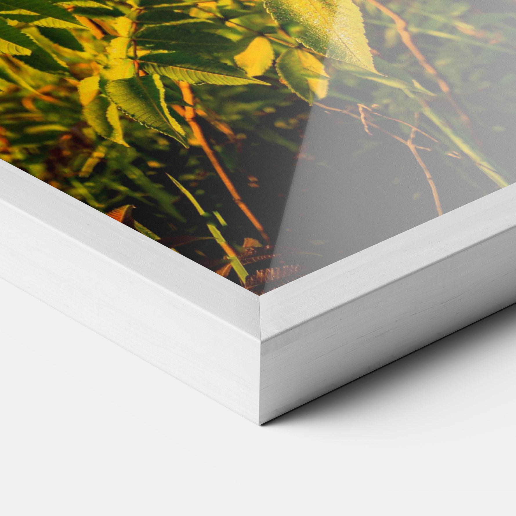 Gerahmte Poster Summer Leaves mockup 3