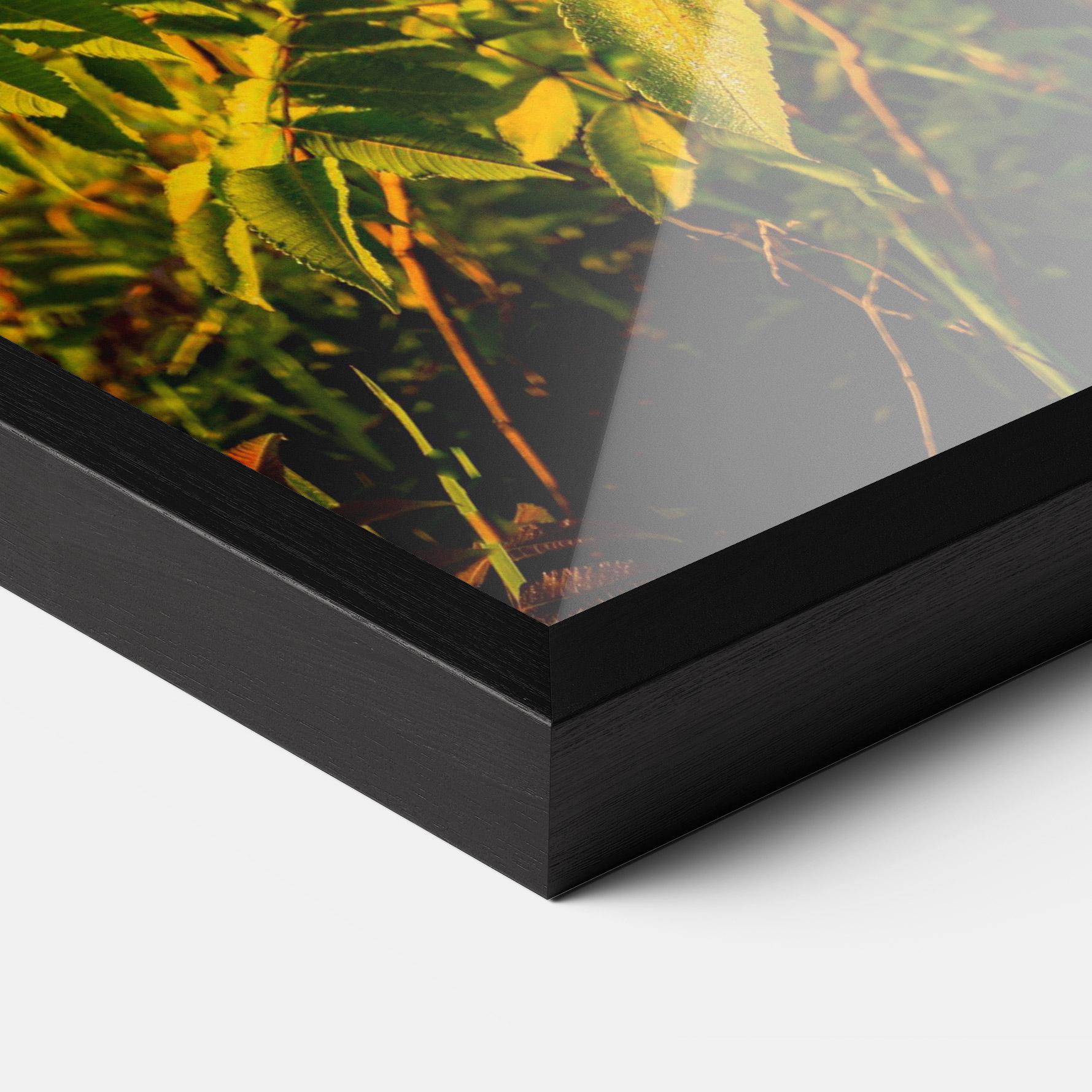 Gerahmte Poster Summer Leaves mockup 3