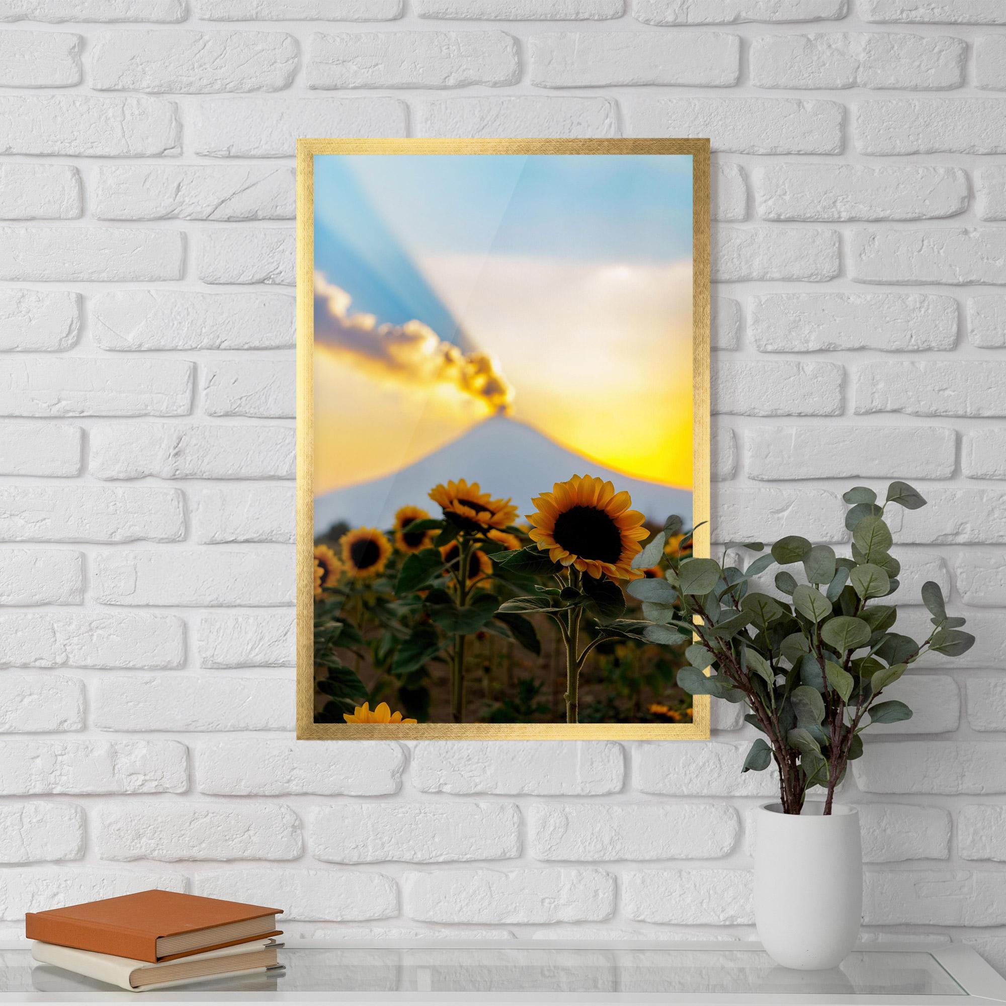 Gerahmte Poster Sunflower Sunset mockup 5