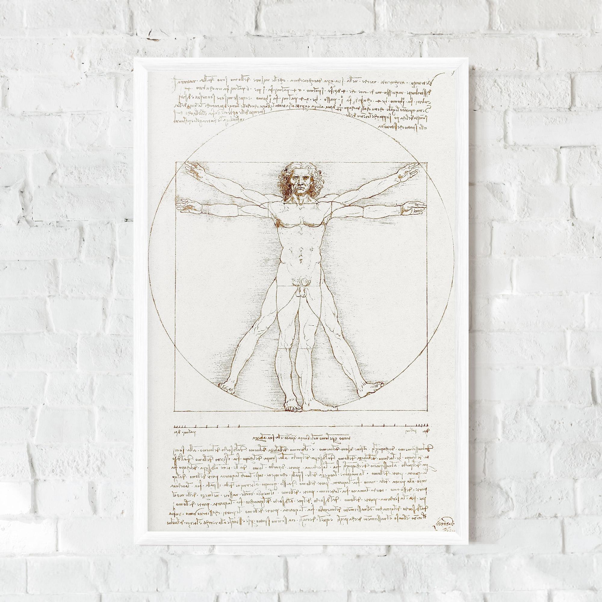 Gerahmte Poster Leonardo Da Vinci's Vitruvian Man mockup 0