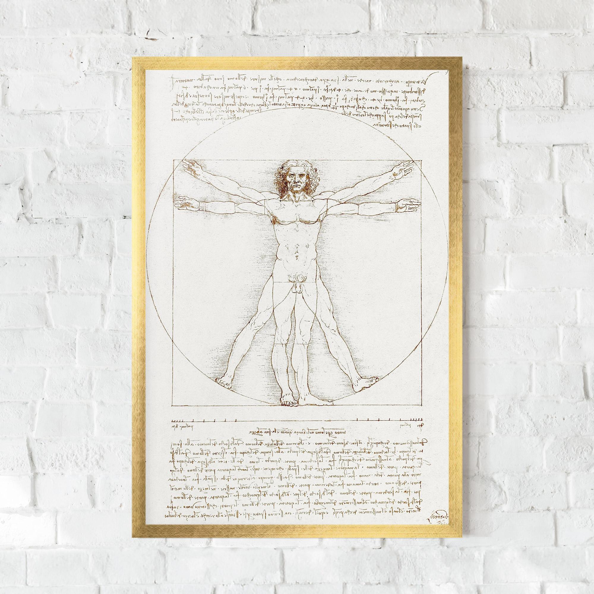 Gerahmte Poster Leonardo Da Vinci's Vitruvian Man mockup 0