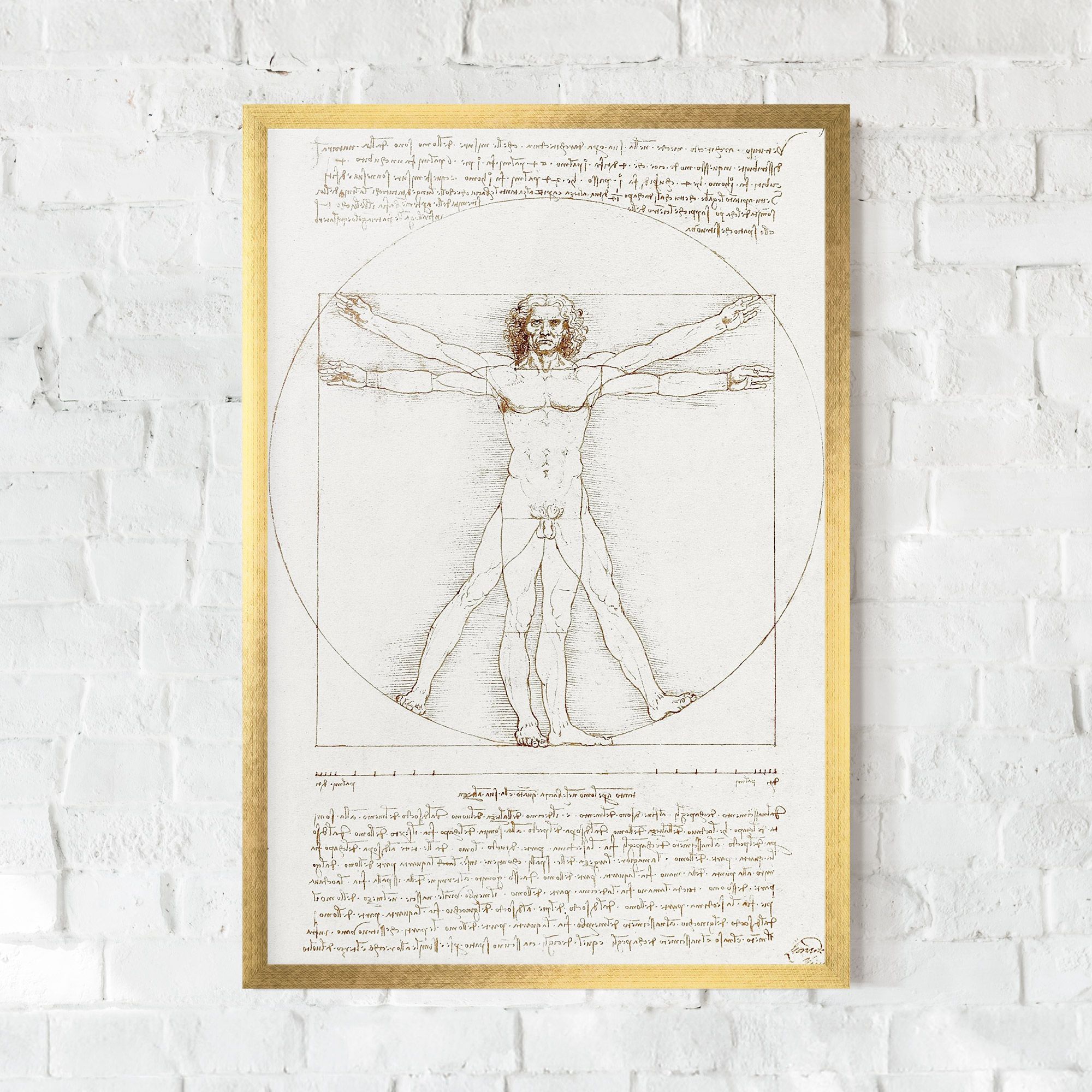 Leonardo Da Vinci's Vitruvian Man mockup 0