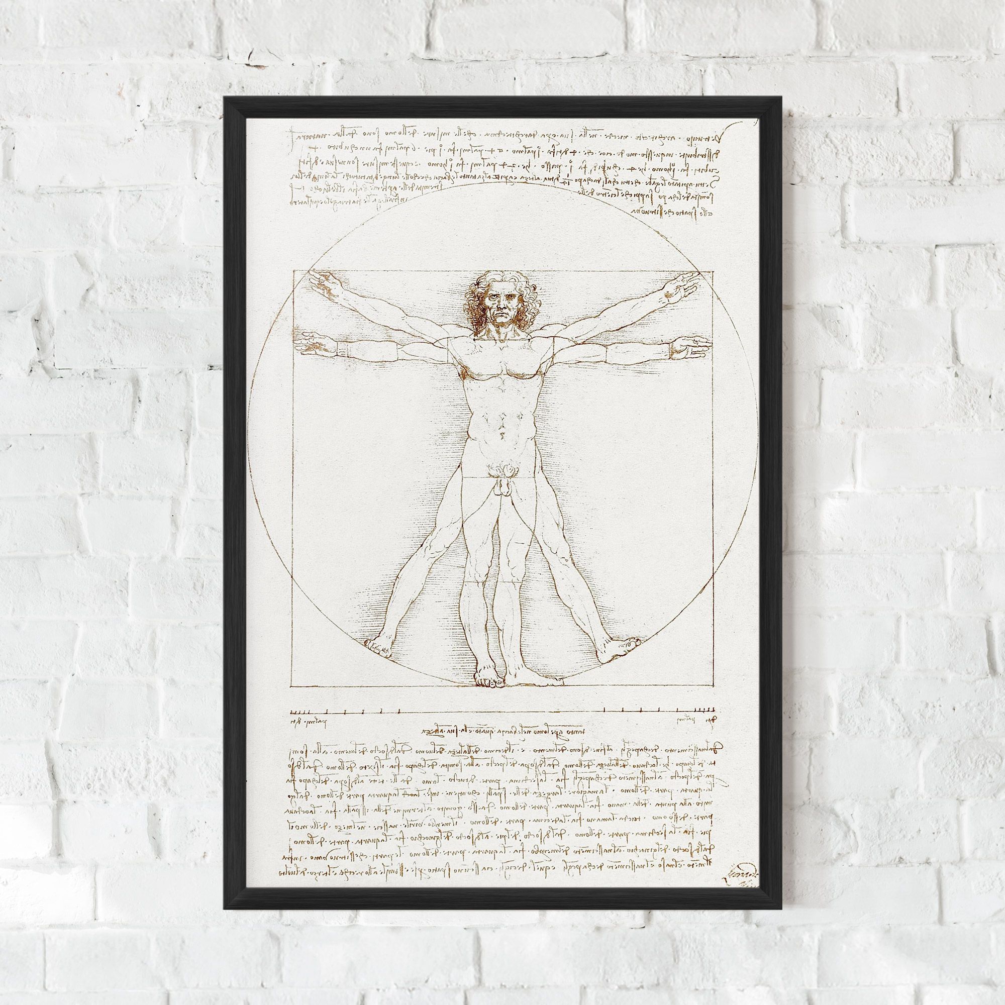 Leonardo Da Vinci's Vitruvian Man mockup 0