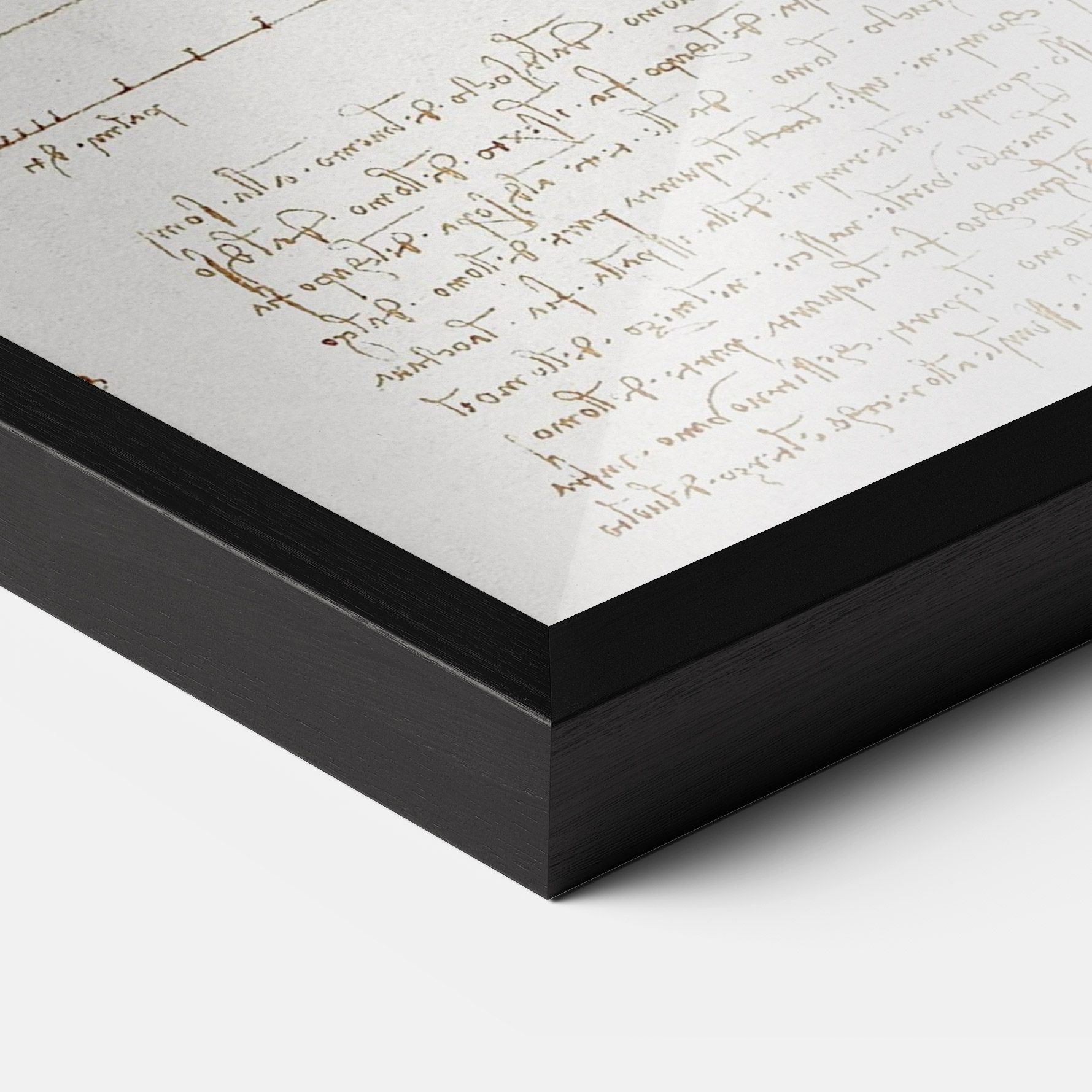 Leonardo Da Vinci's Vitruvian Man mockup 3