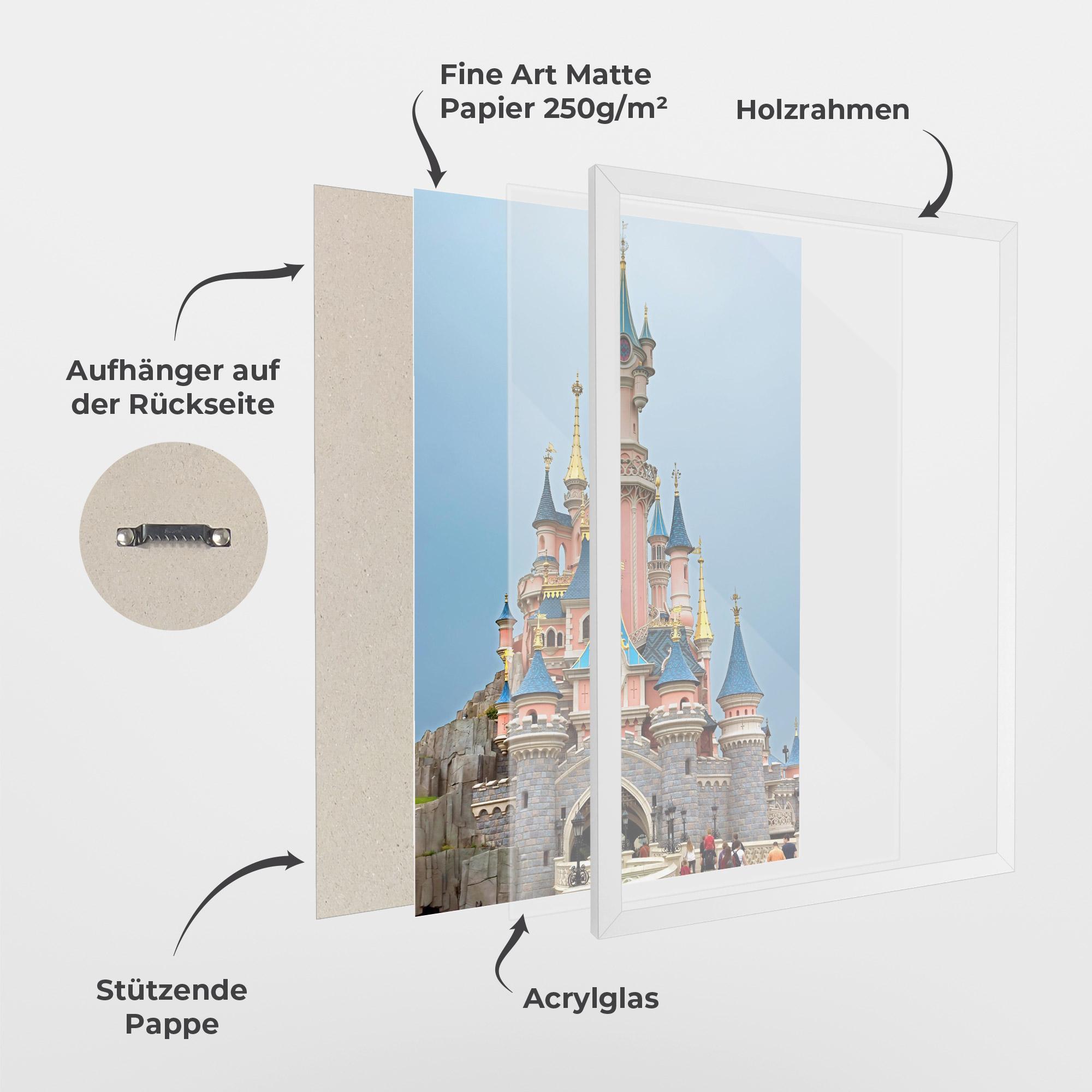 Gerahmte Poster Disneyland Castle mockup 1