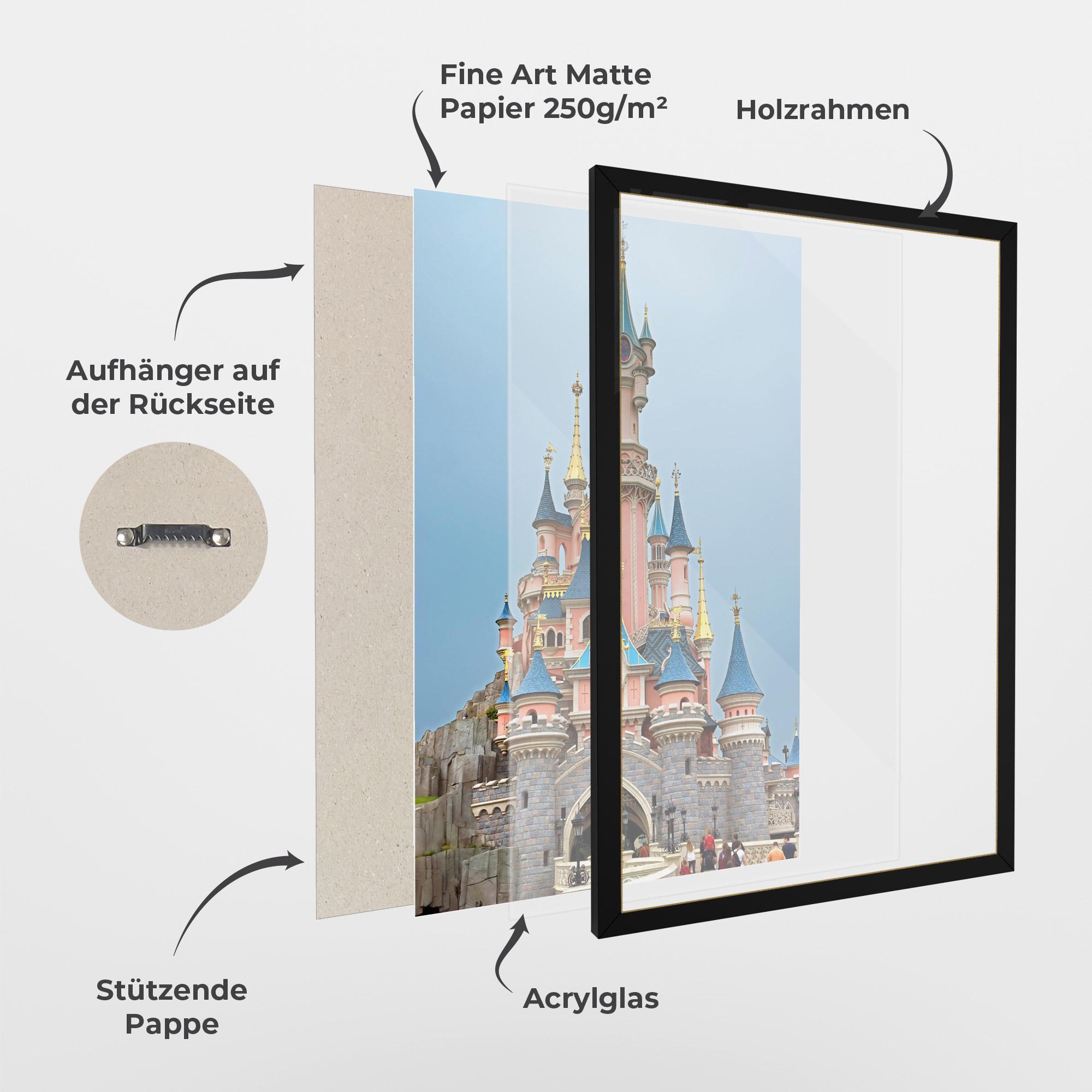 Gerahmte Poster Disneyland Castle mockup 1