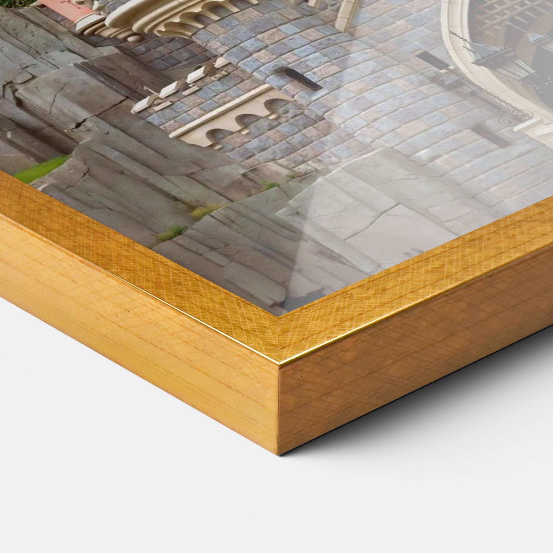 Disneyland Castle mockup 3