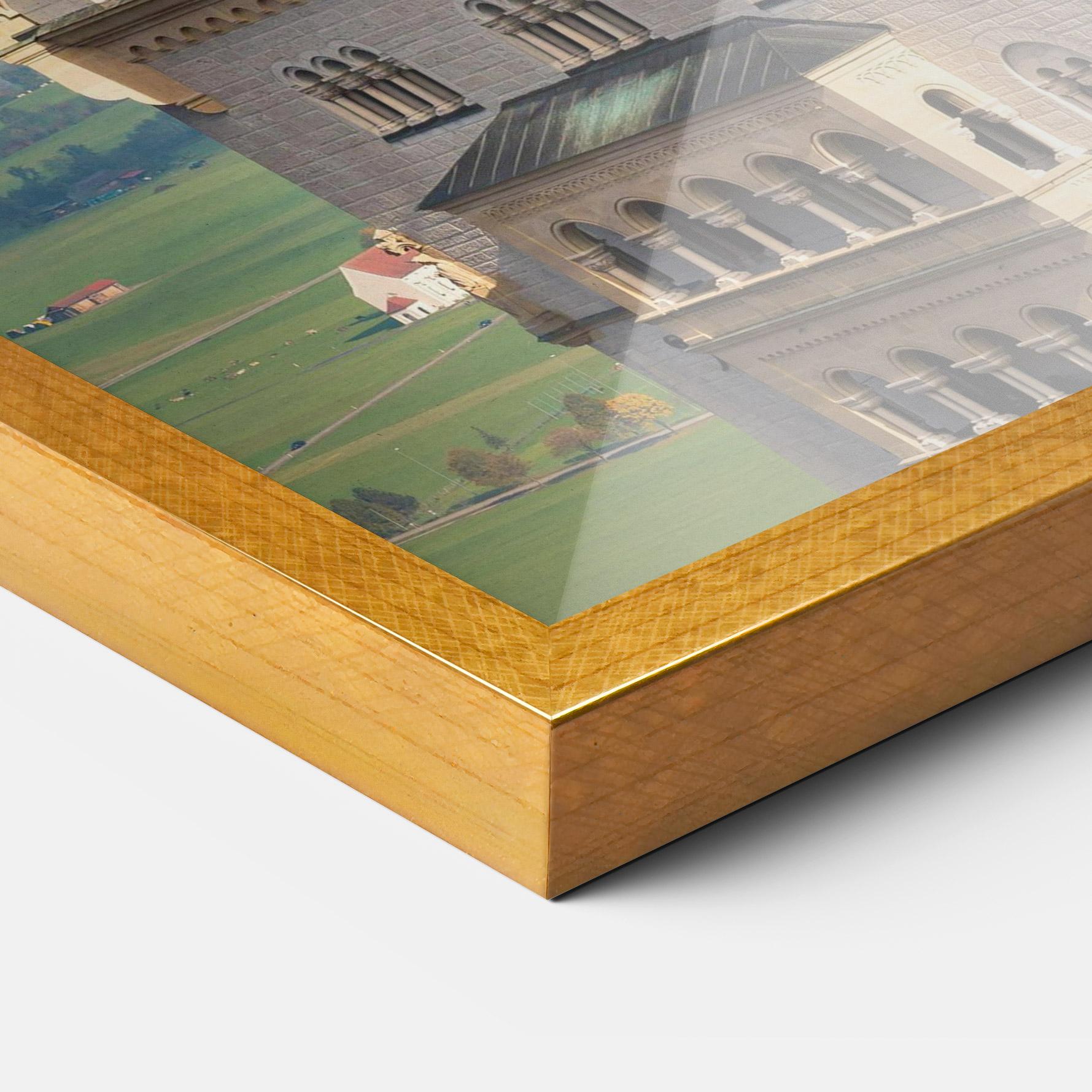 Gerahmte Poster Neuschwanstein Castle View mockup 3