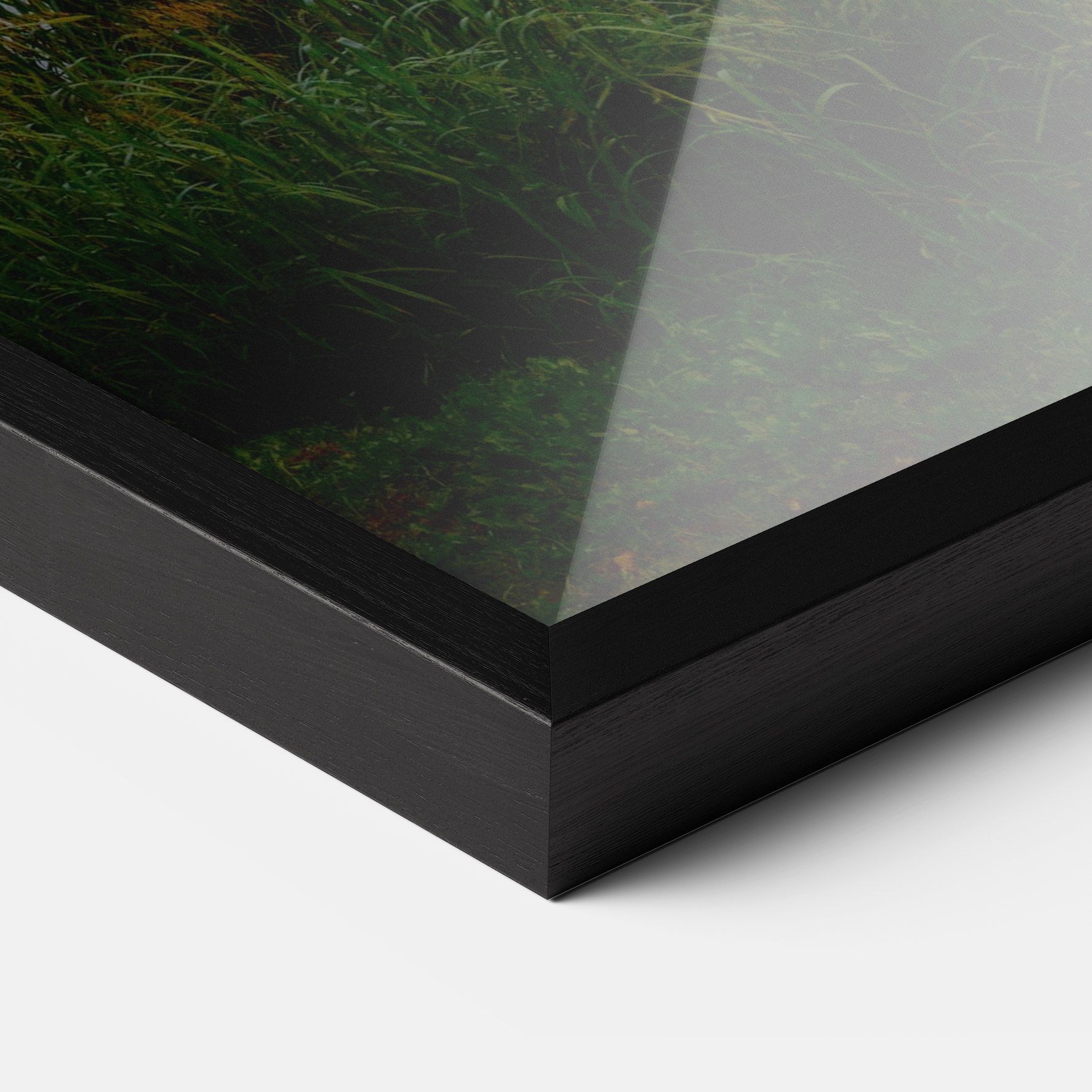 Ancient Castle Morning mockup 3