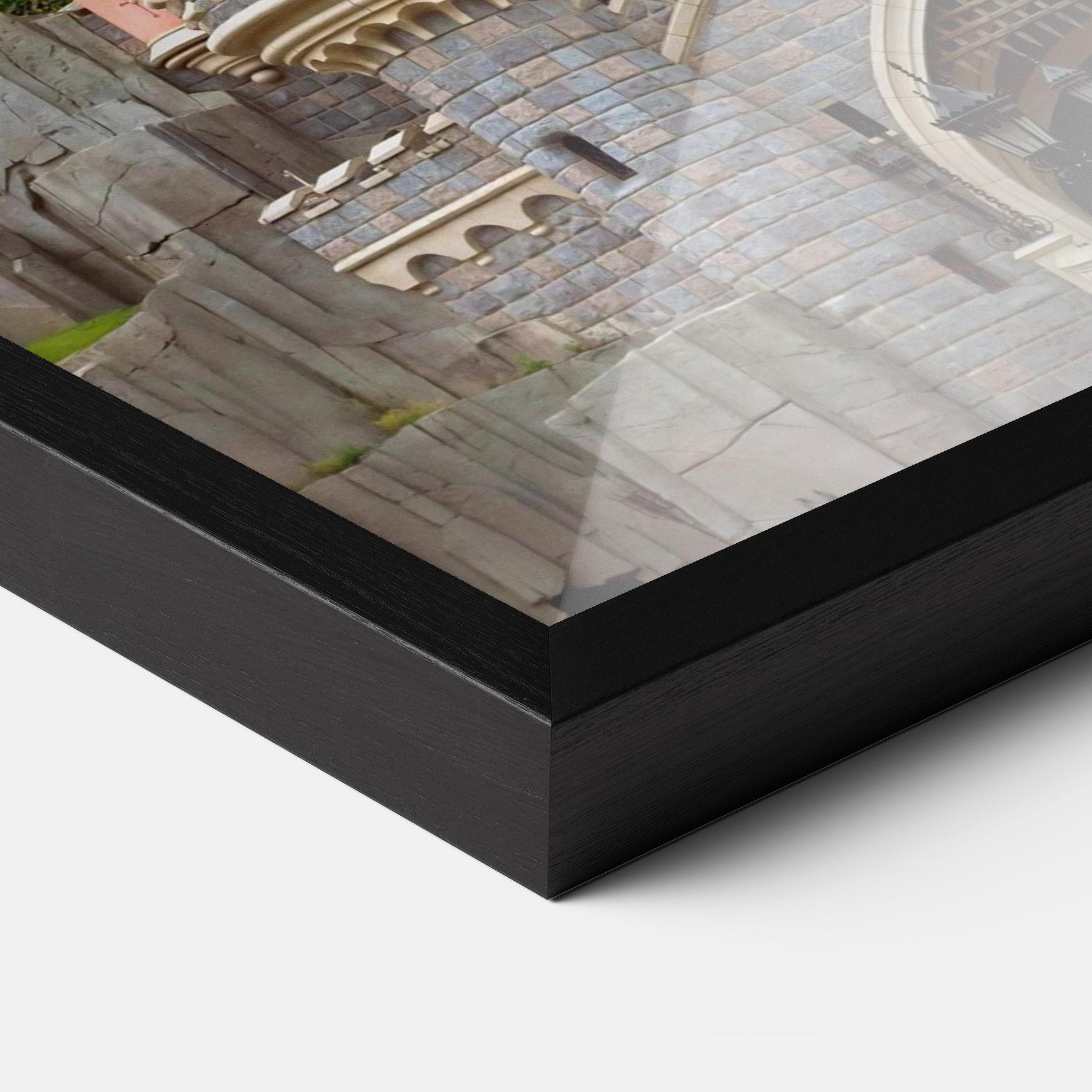 Gerahmte Poster Disneyland Castle mockup 3