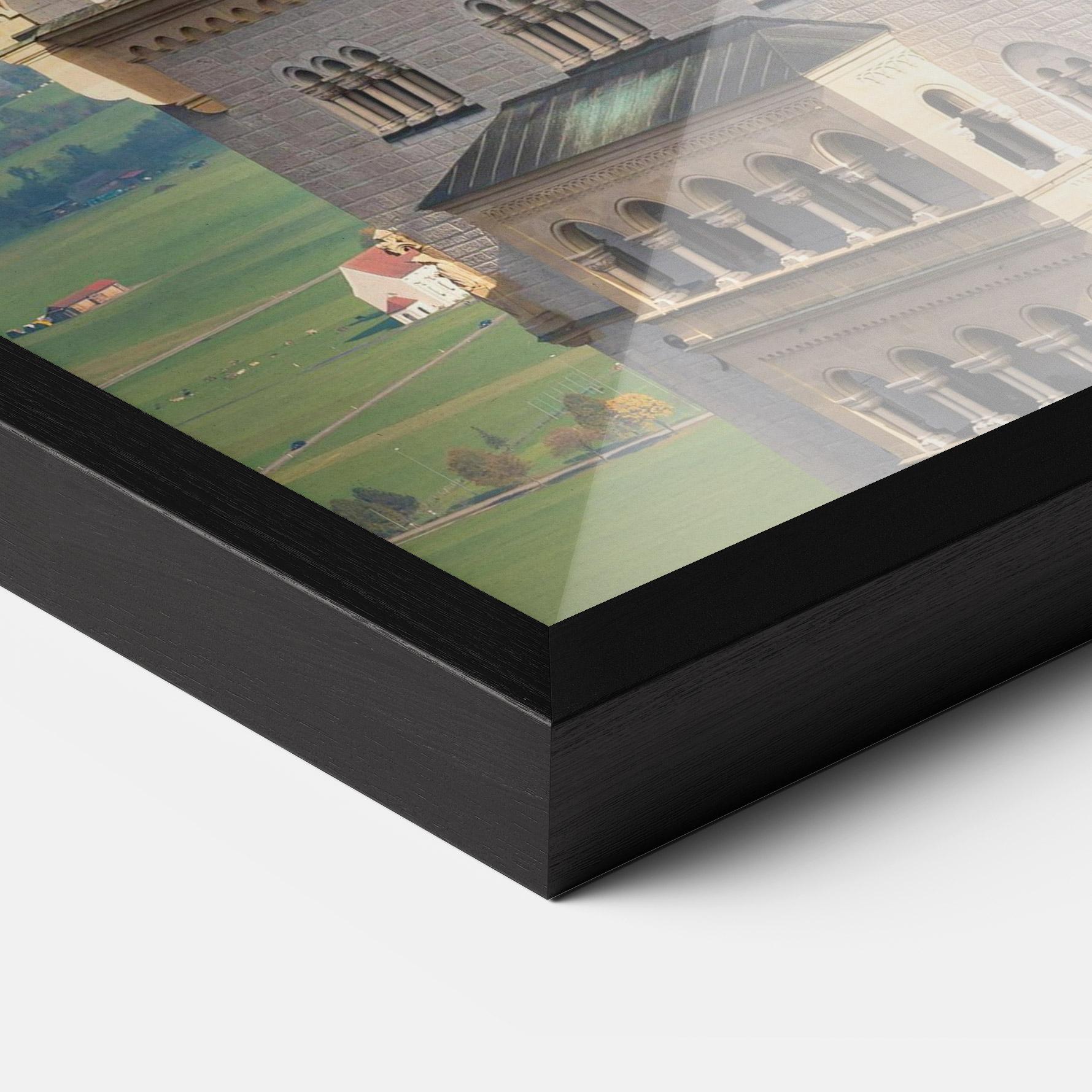 Gerahmte Poster Neuschwanstein Castle View mockup 3