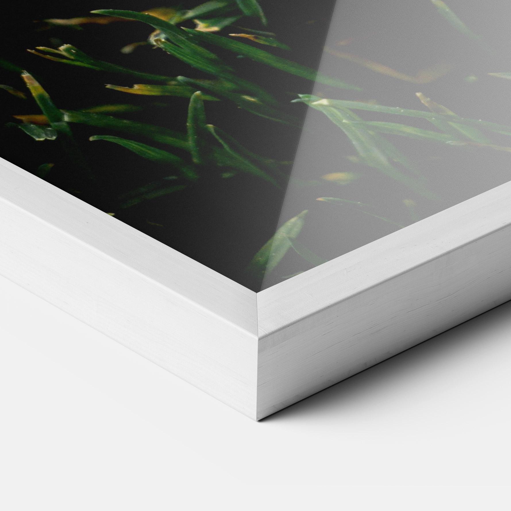 Gerahmte Poster Sugar Golf mockup 3