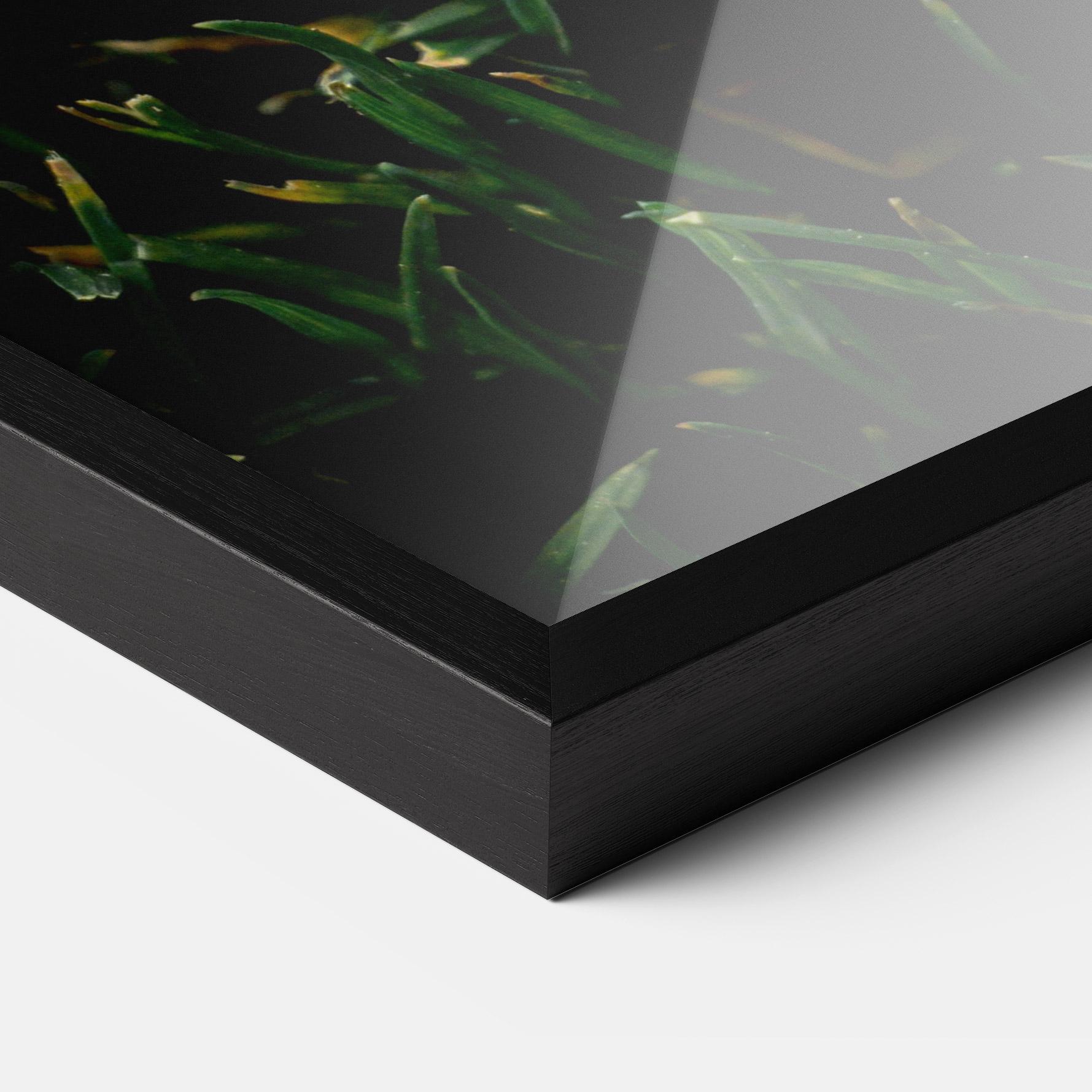 Gerahmte Poster Sugar Golf mockup 3