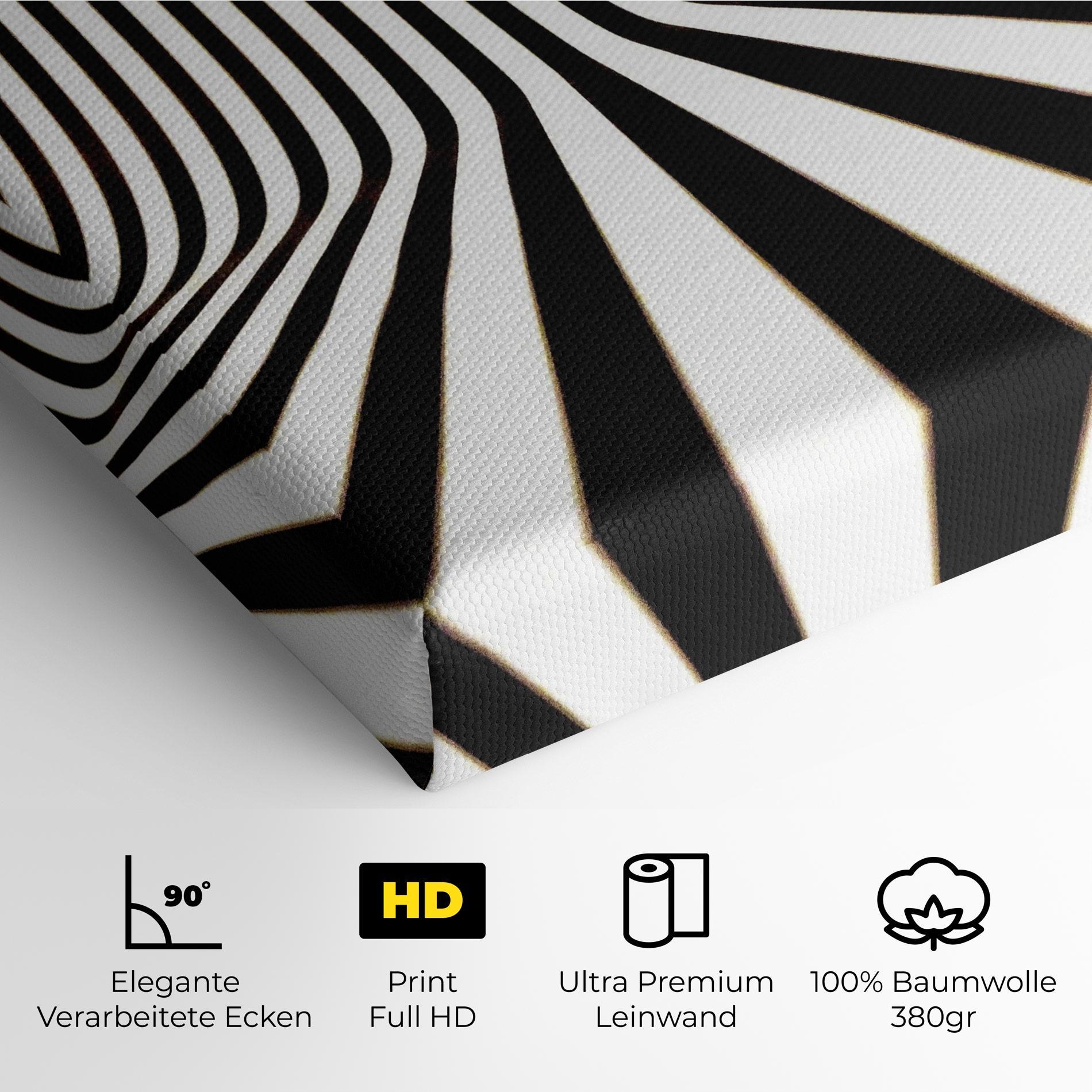 Leinwandbild Black And White Illusion mockup 4
