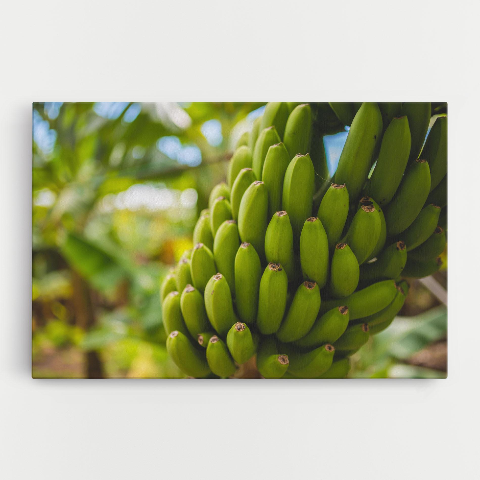 Leinwandbild Green Banana mockup 0