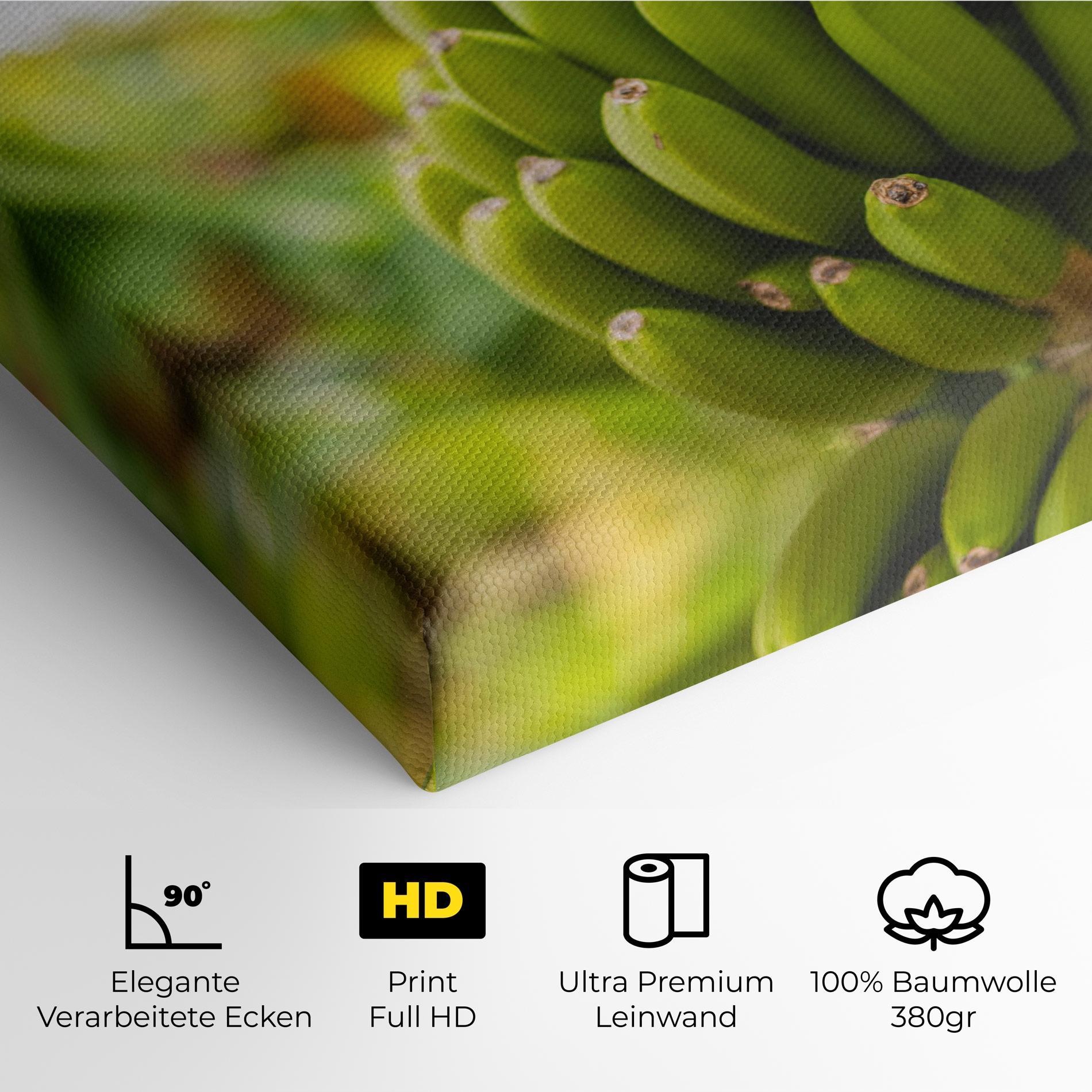 Leinwandbild Green Banana mockup 4
