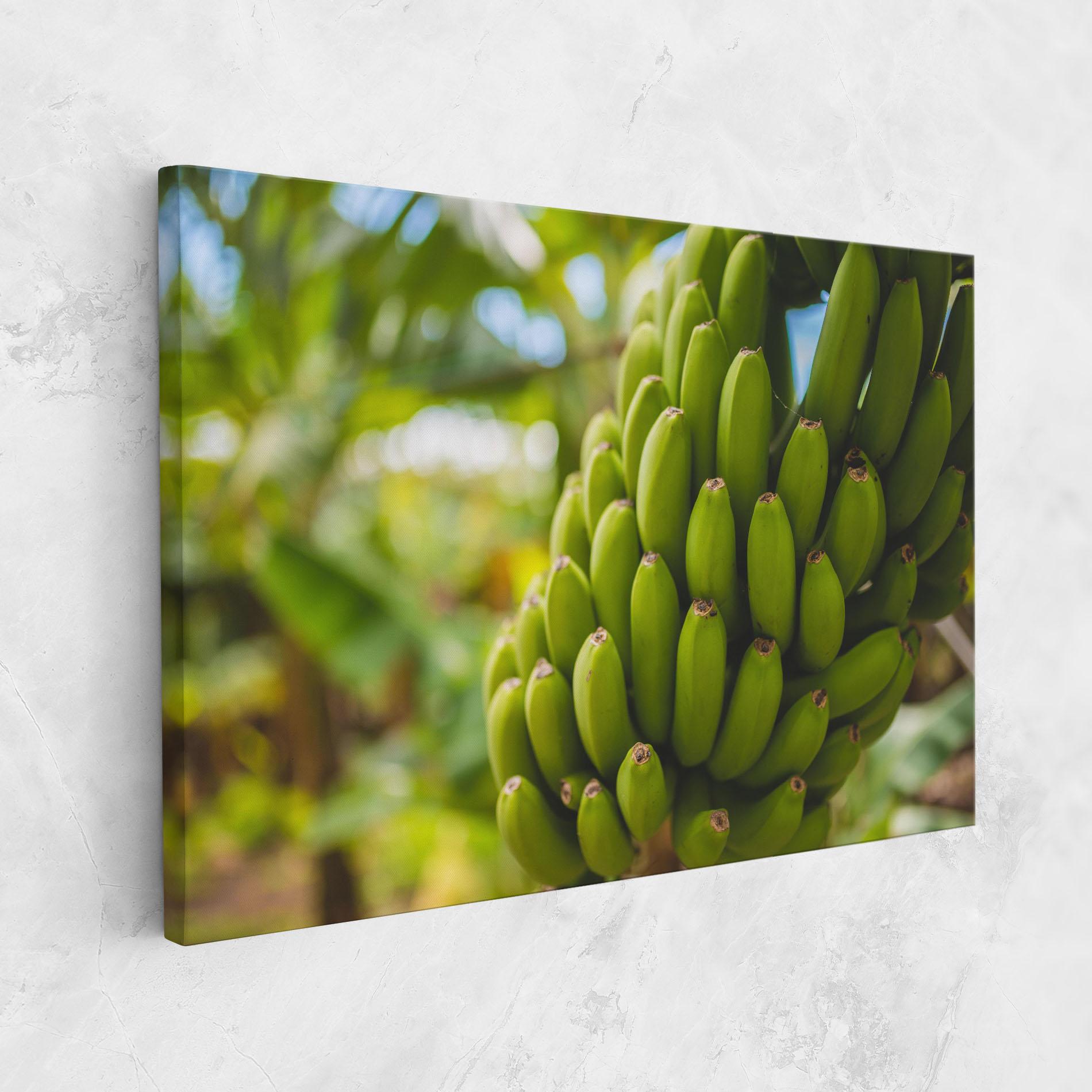 Leinwandbild Green Banana mockup 1