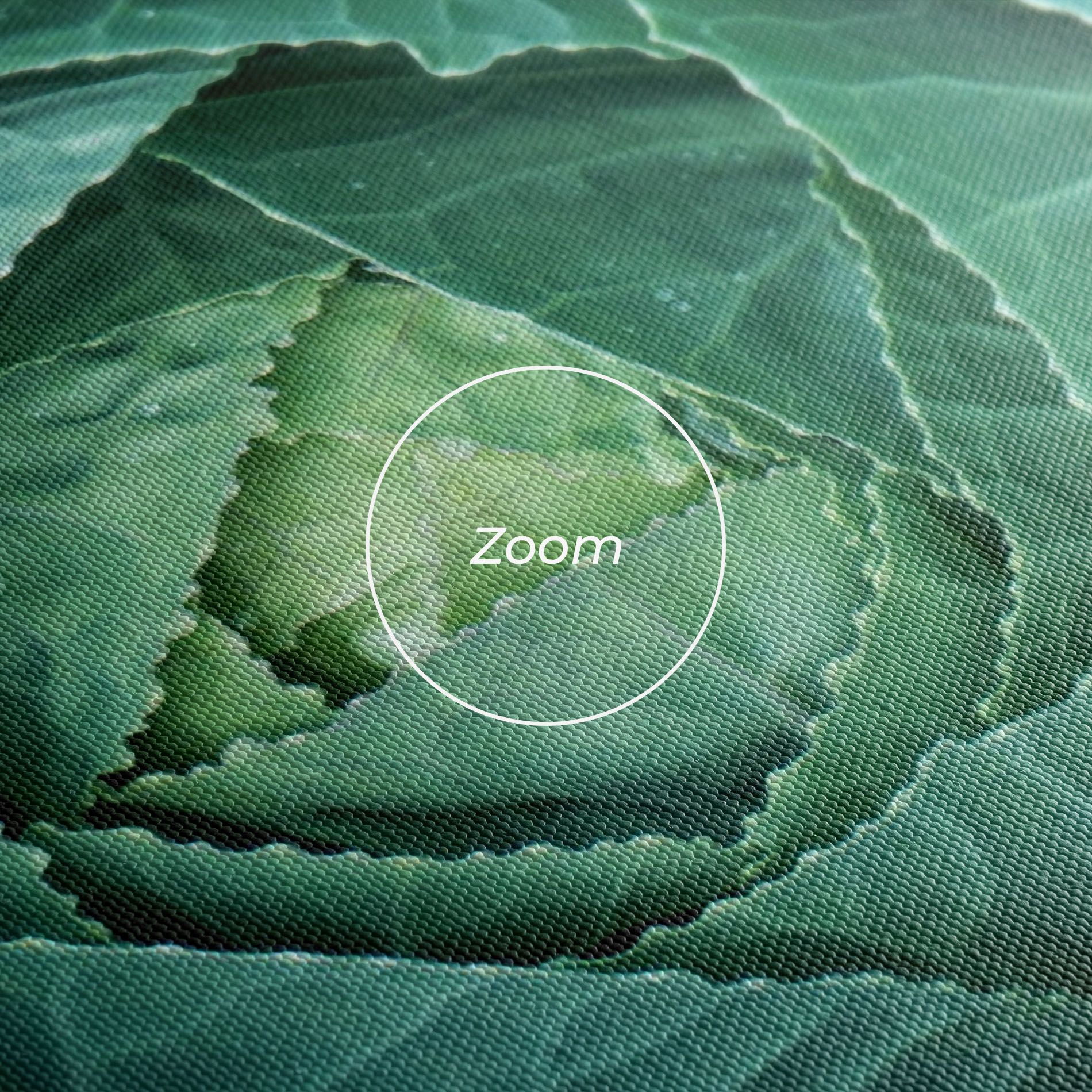 Blue Lettuce mockup 3