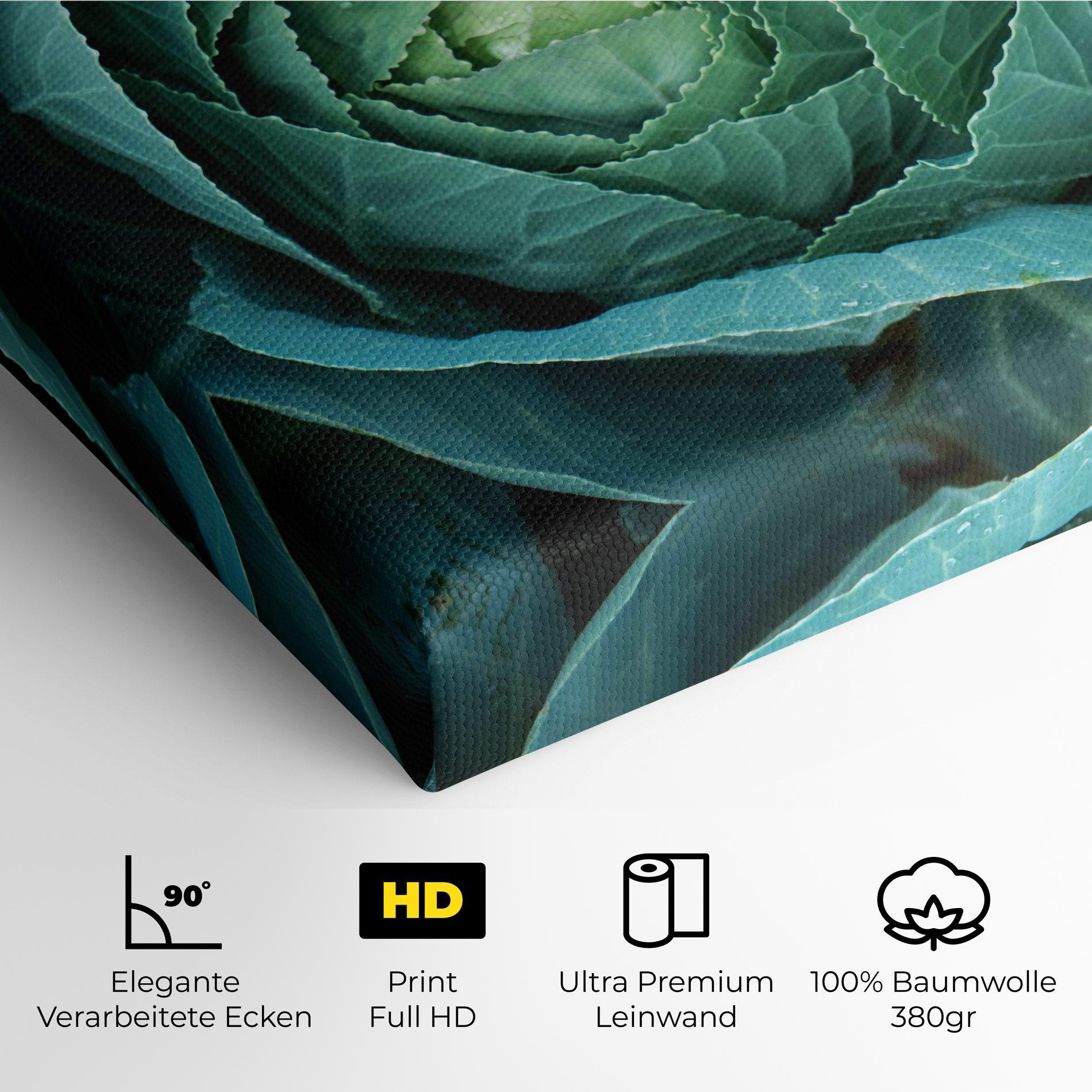Leinwandbild Blue Lettuce mockup 4