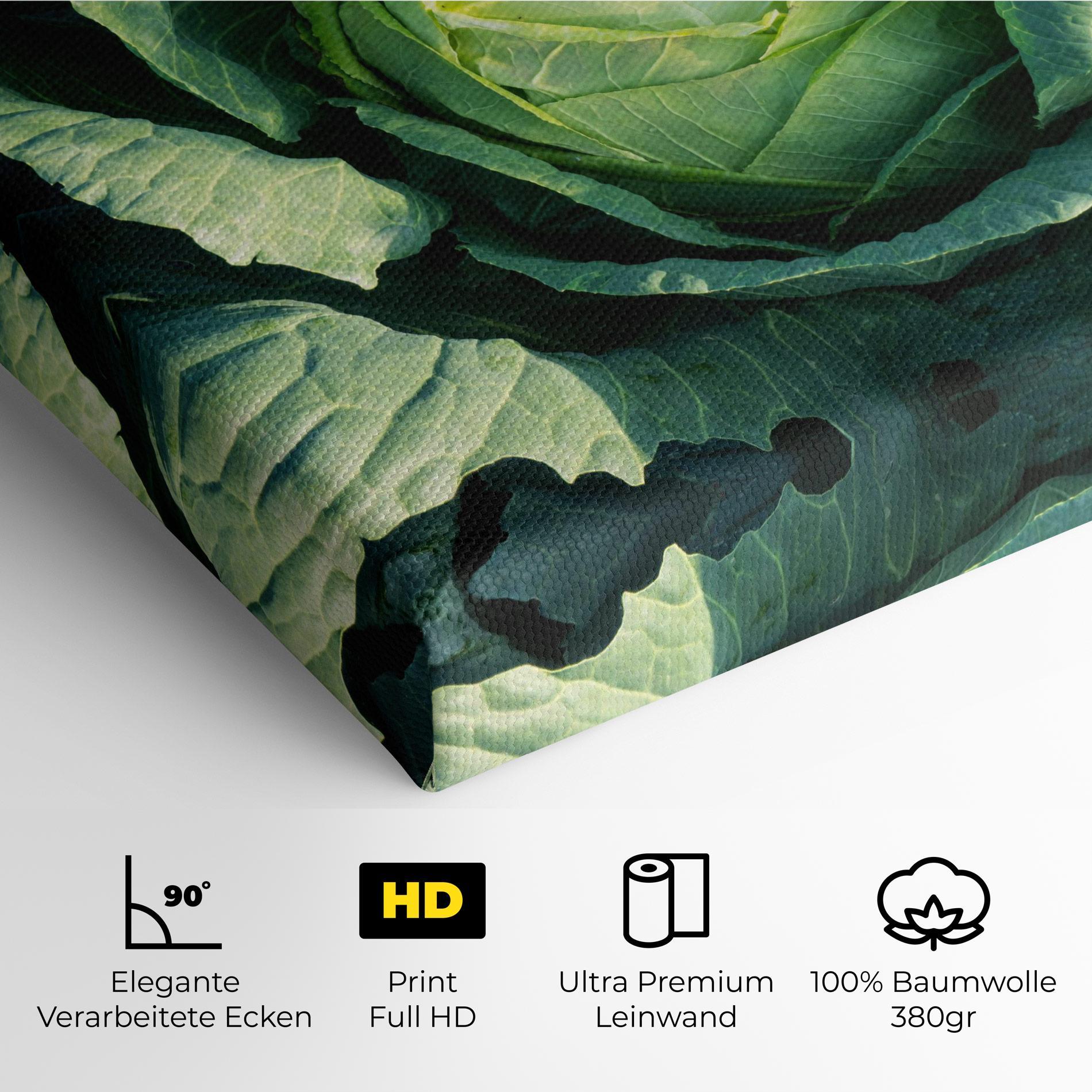 Leinwandbild Green Lettuce mockup 4
