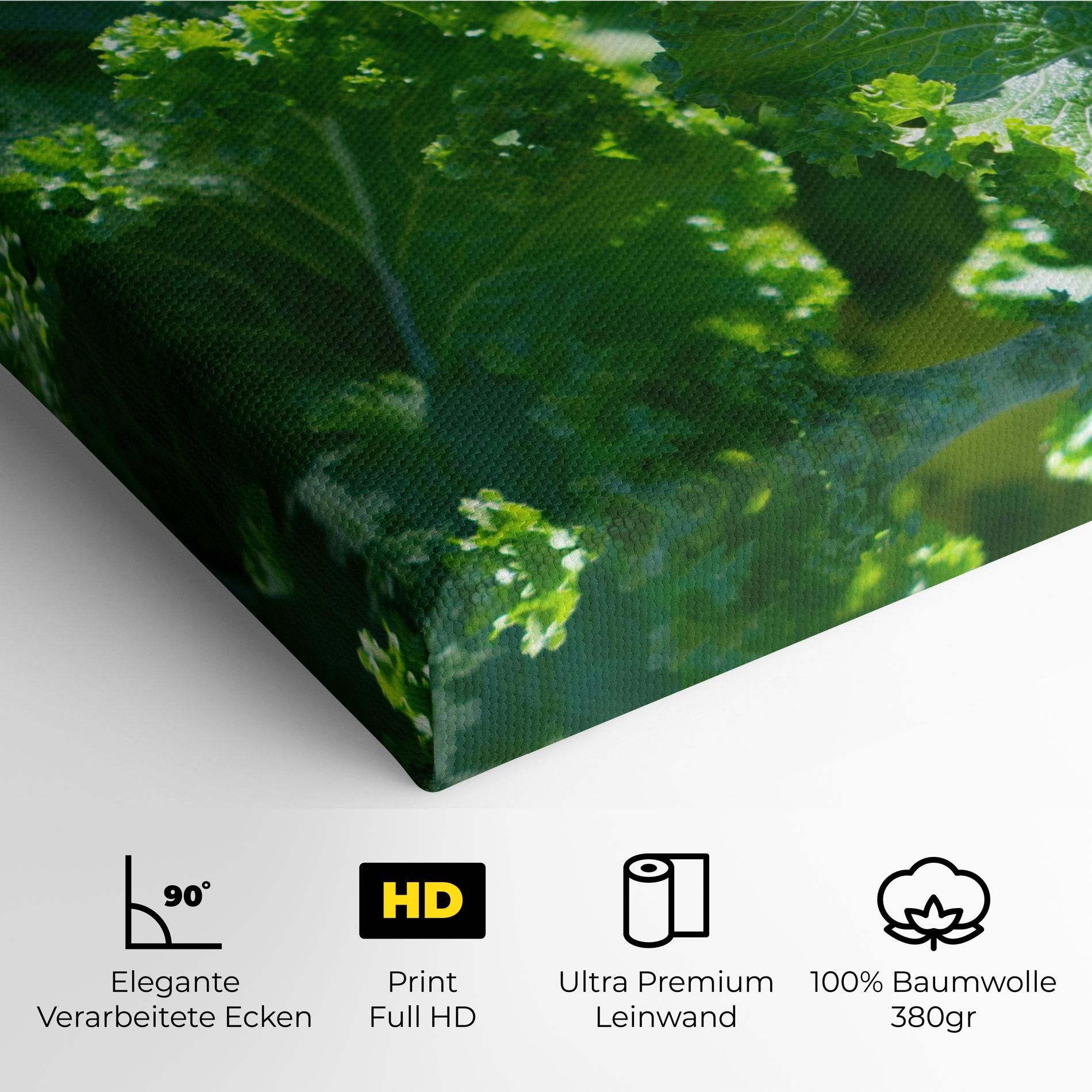 Lettuce View mockup 4
