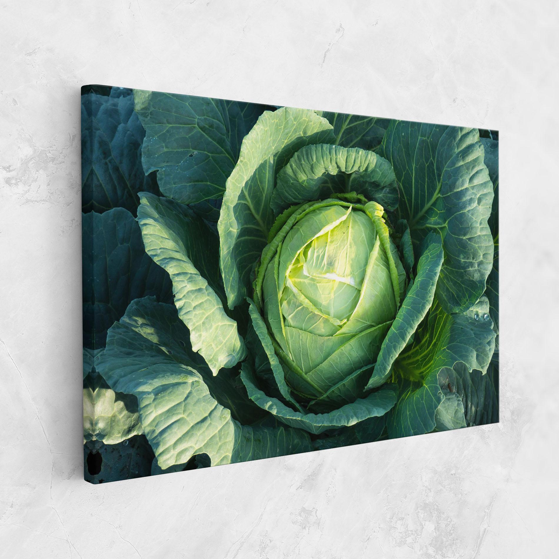 Leinwandbild Green Lettuce mockup 1