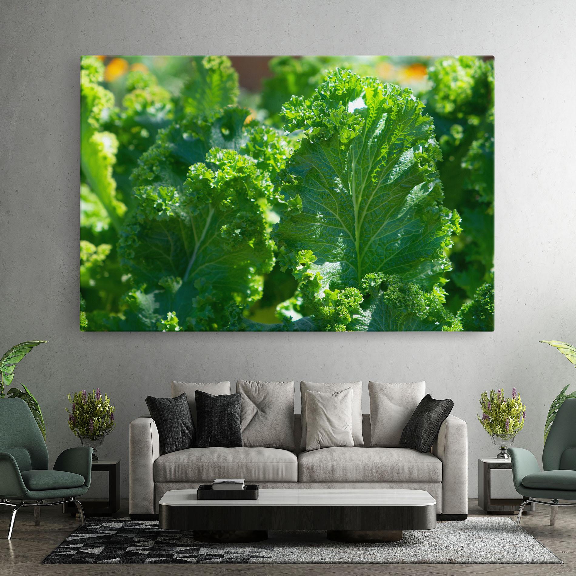 Leinwandbild Lettuce View mockup 7