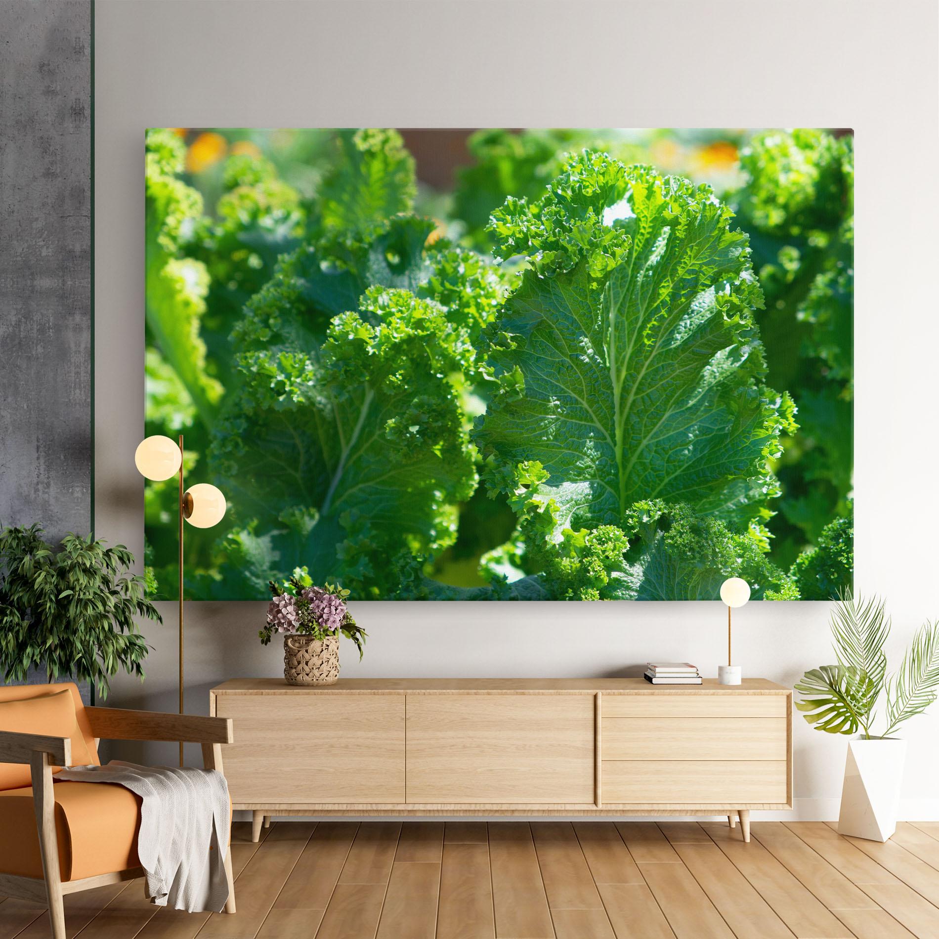 Leinwandbild Lettuce View mockup 9