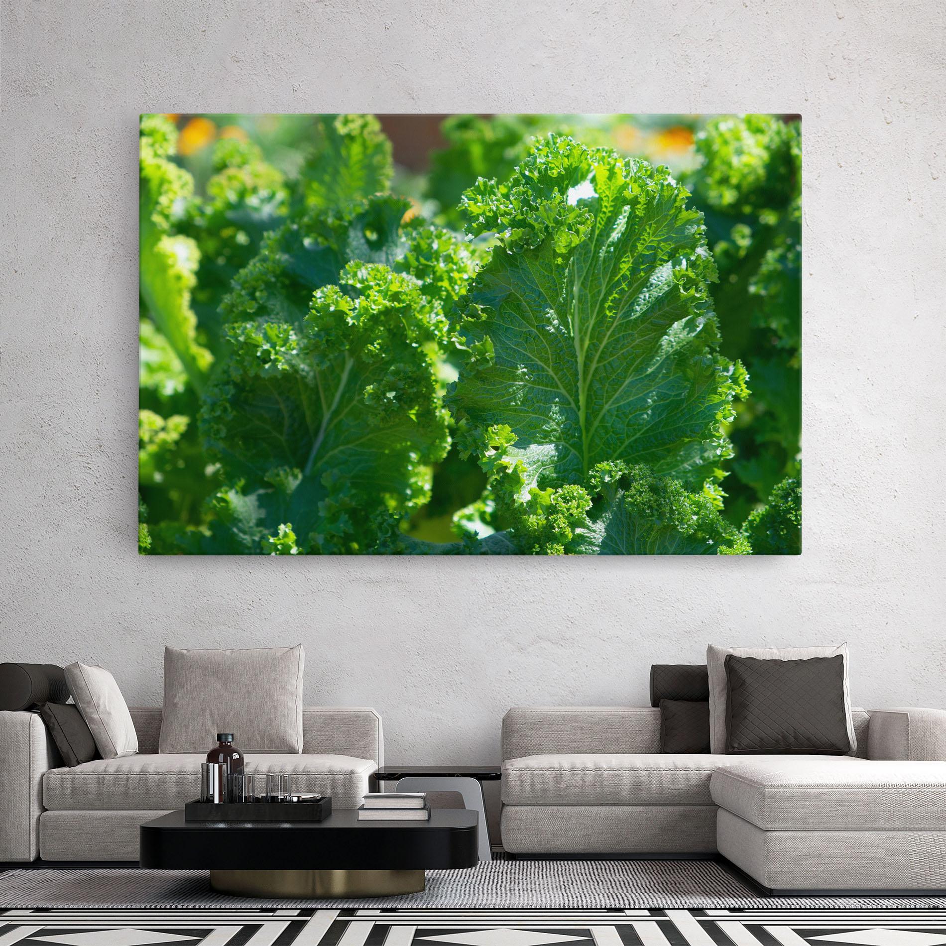 Leinwandbild Lettuce View mockup 2