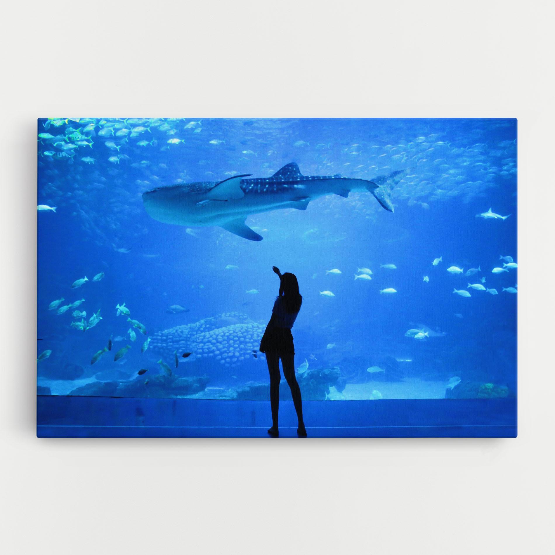 Leinwandbild Aquarium Girl mockup 0