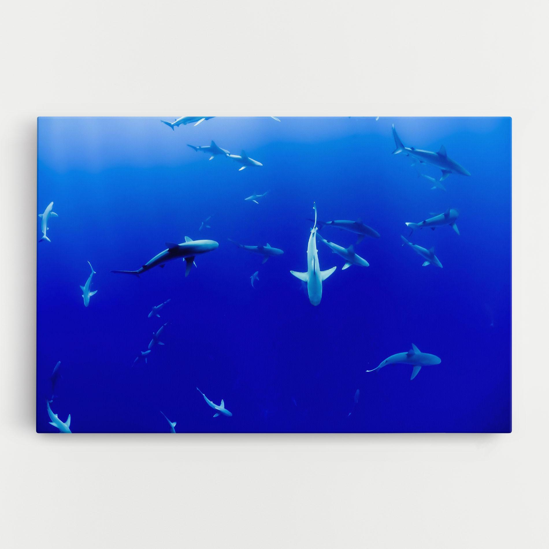 Leinwandbild Baby Sharks mockup 0