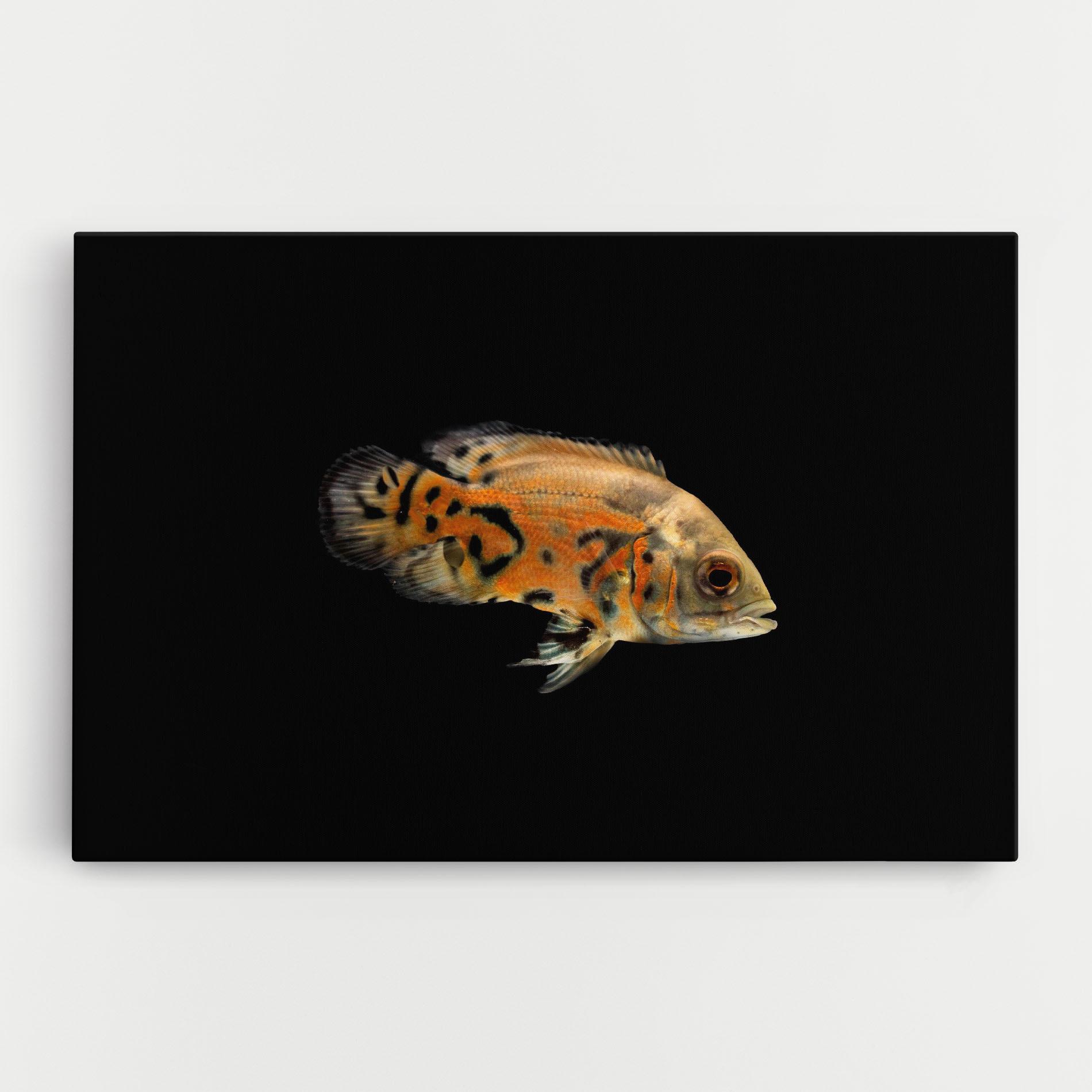 Leinwandbild Cute Brown Fish mockup 0