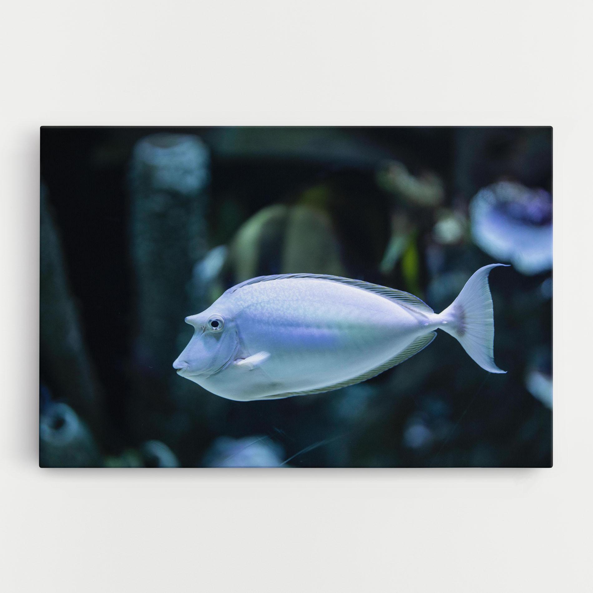 Leinwandbild Funny Face Fish mockup 0