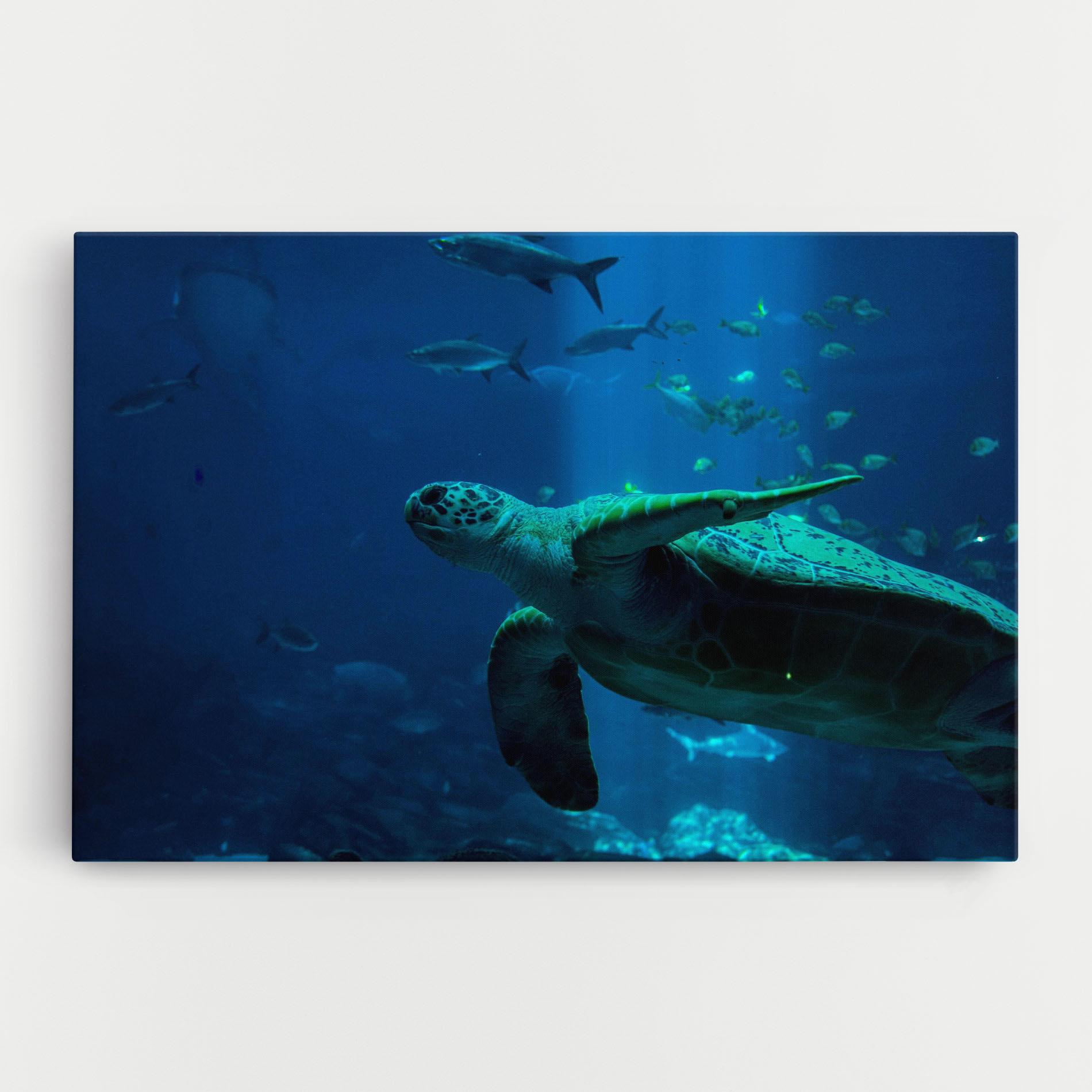 Leinwandbild Green Turtule mockup 0