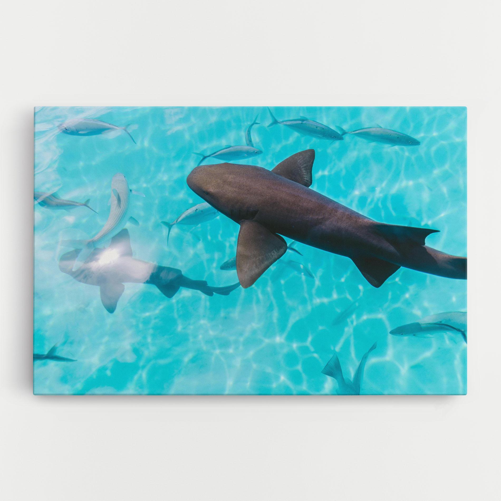 Leinwandbild Pretty Shark mockup 0