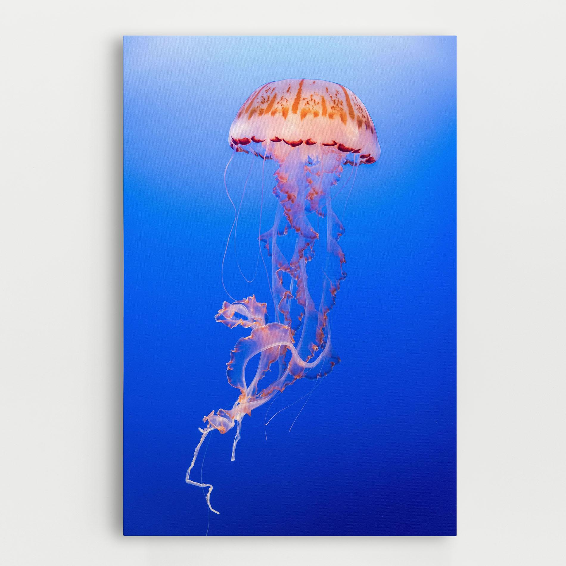Leinwandbild Pretty White Jellyfish mockup 0