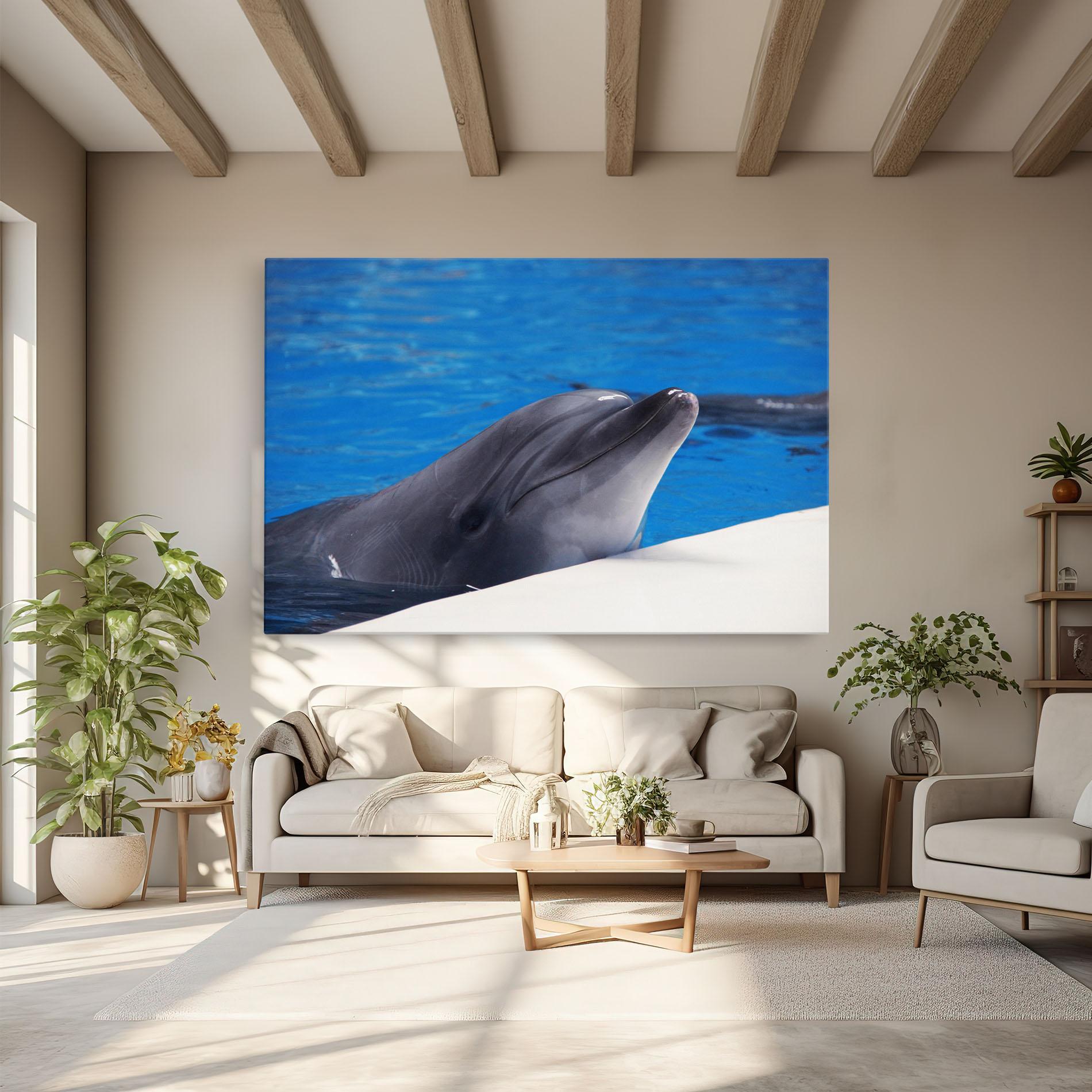 Leinwandbild Cute Dolphin mockup 6