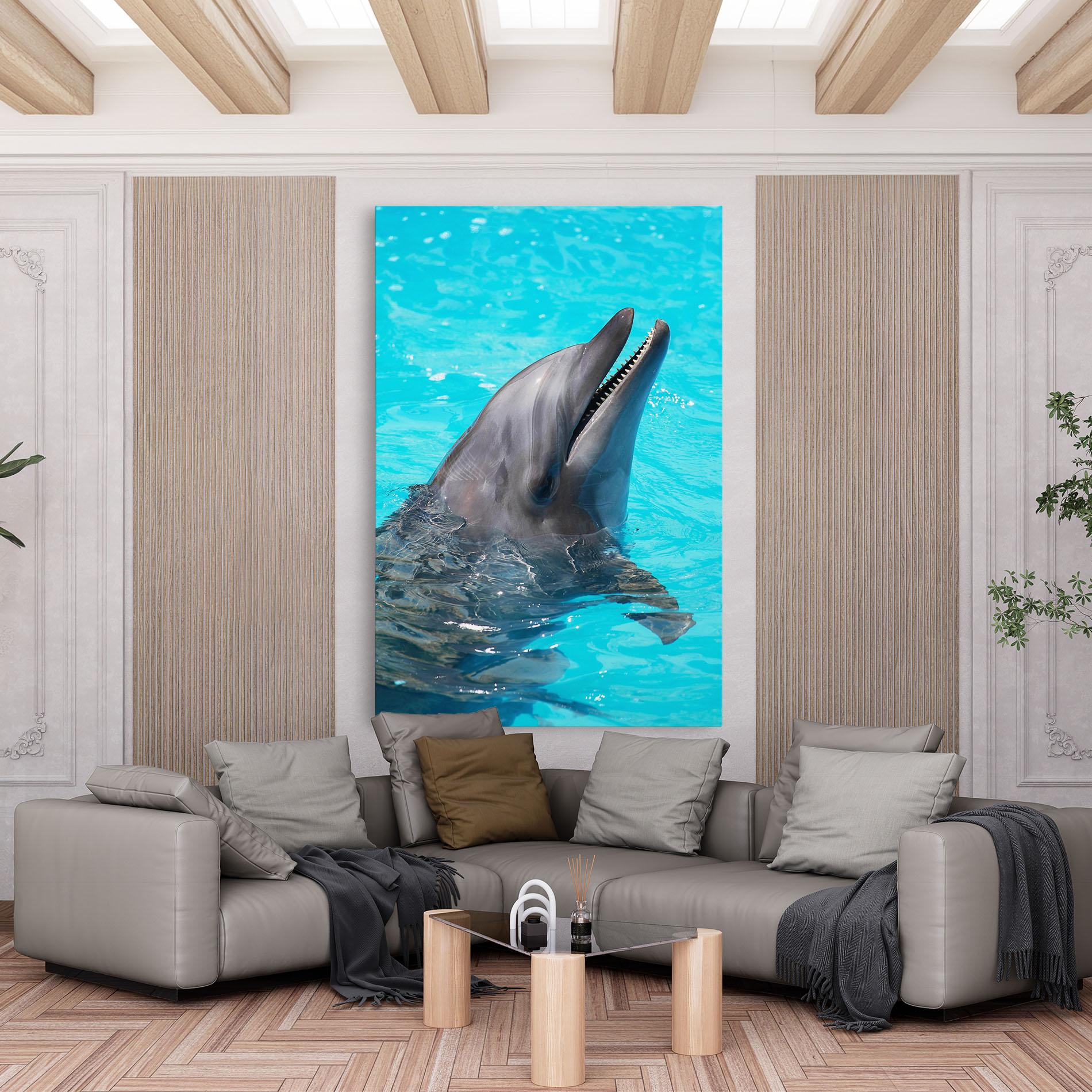 Leinwandbild Trained Dolphin mockup 6