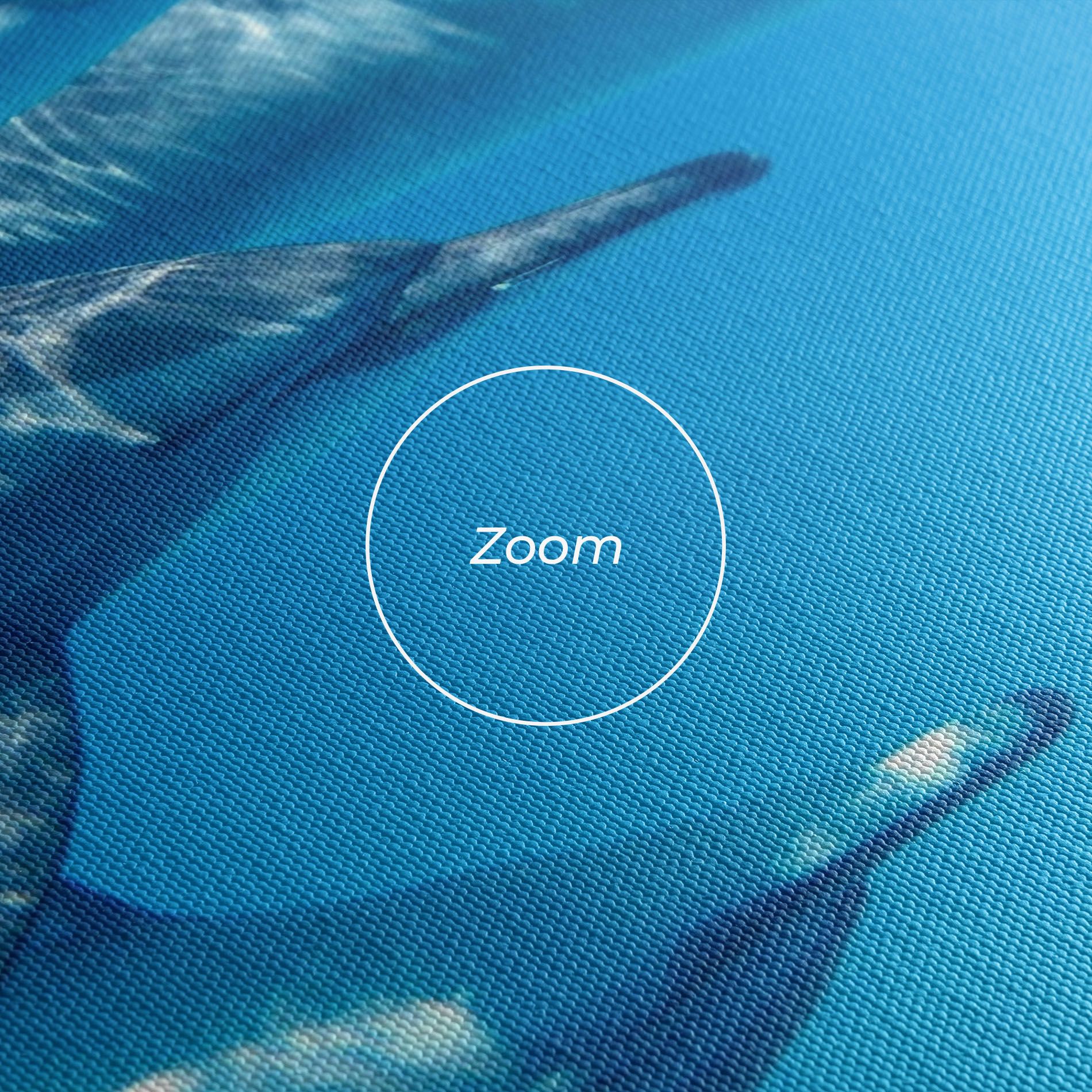 Family Of Dolphins mockup 3