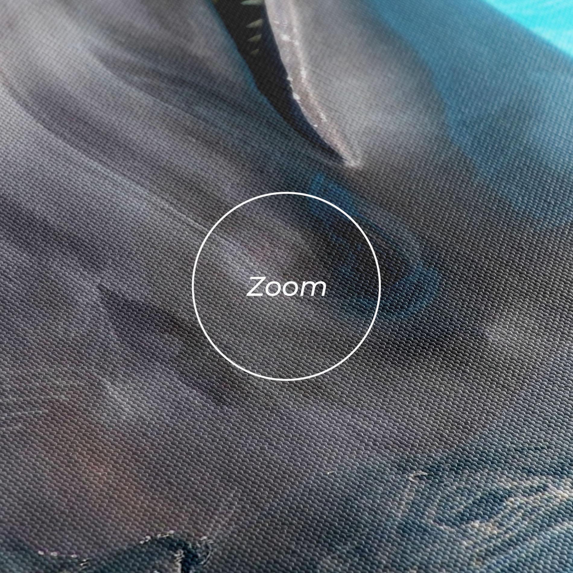 Leinwandbild Trained Dolphin mockup 3