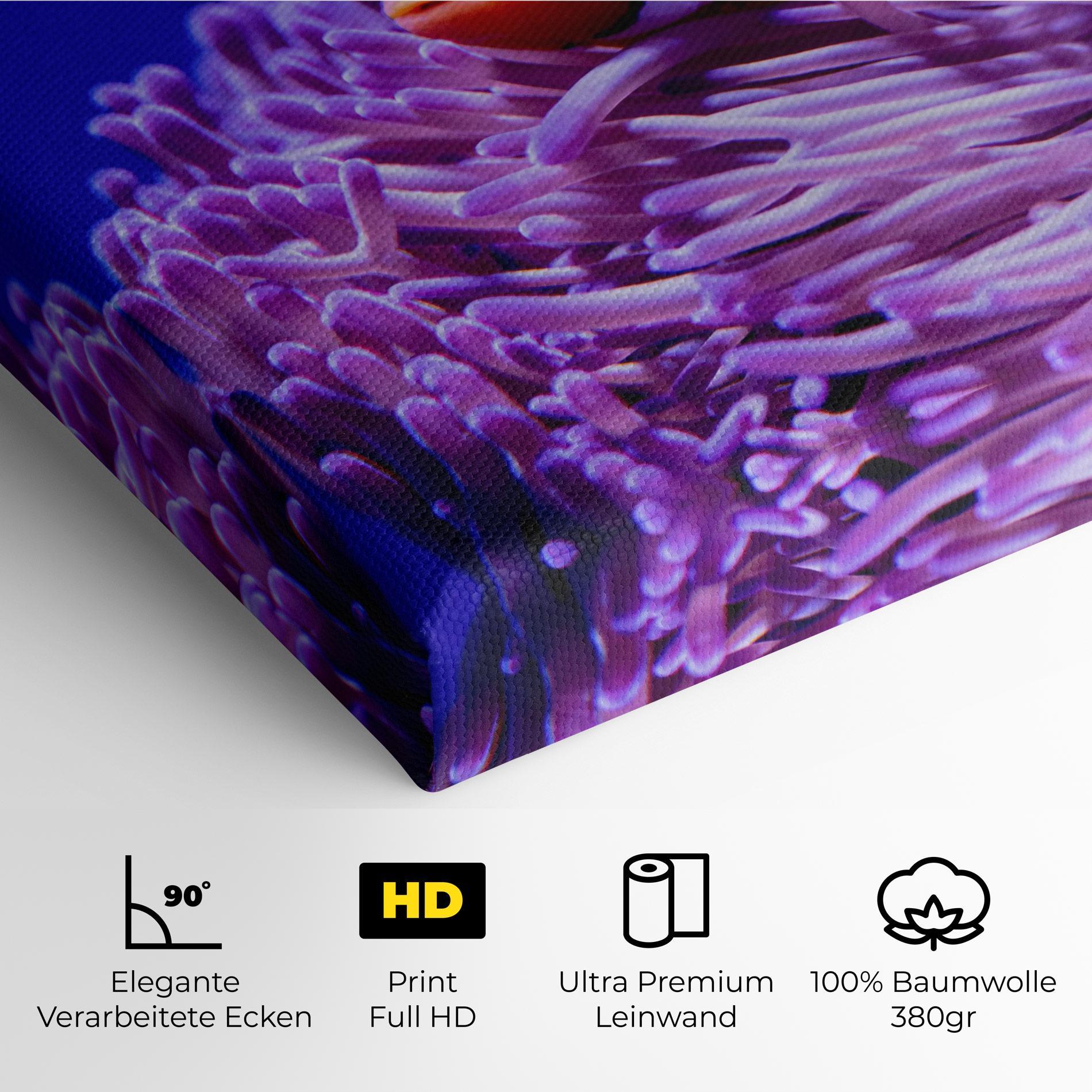 Leinwandbild Angry Nemo mockup 4