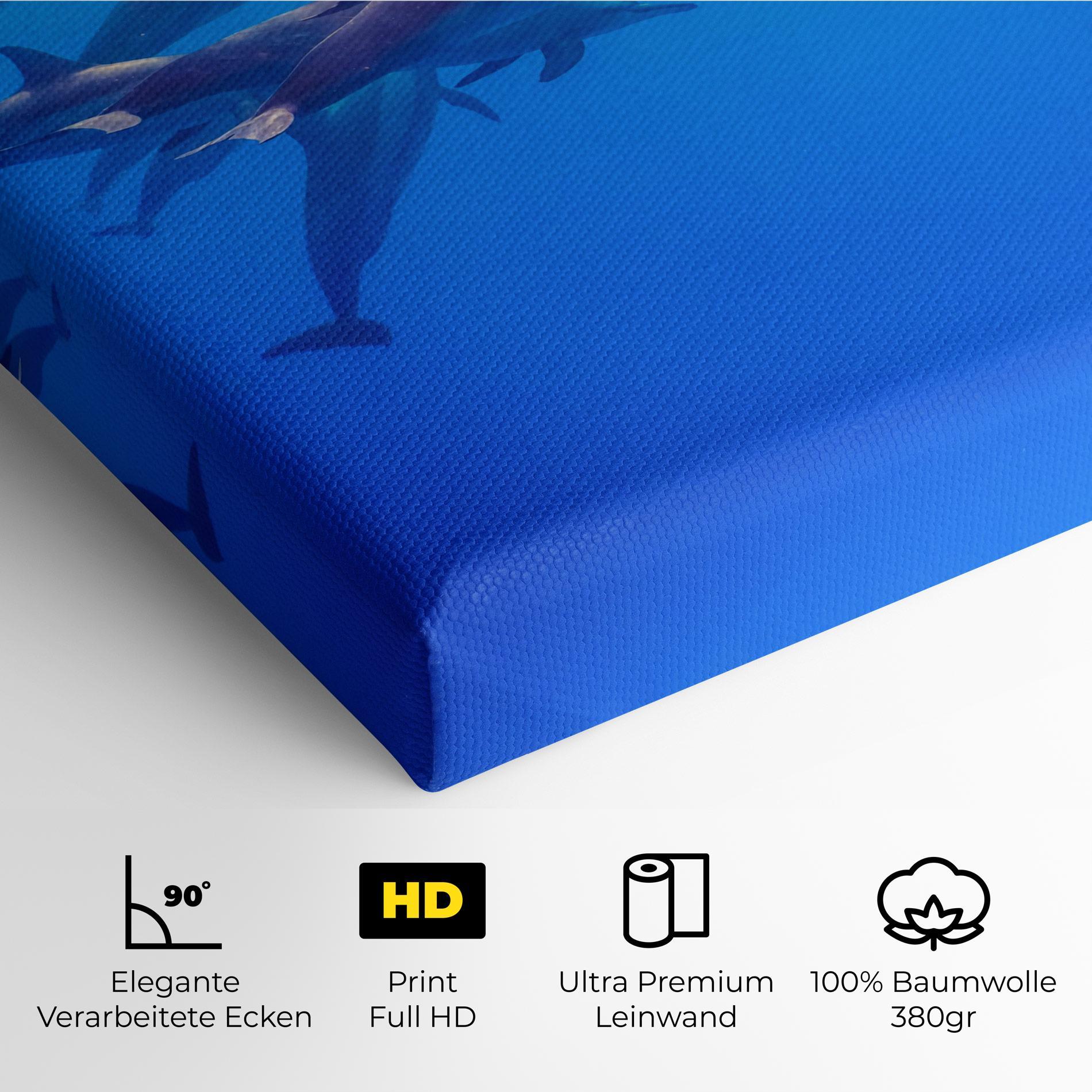 Leinwandbild Dolphin Family mockup 4