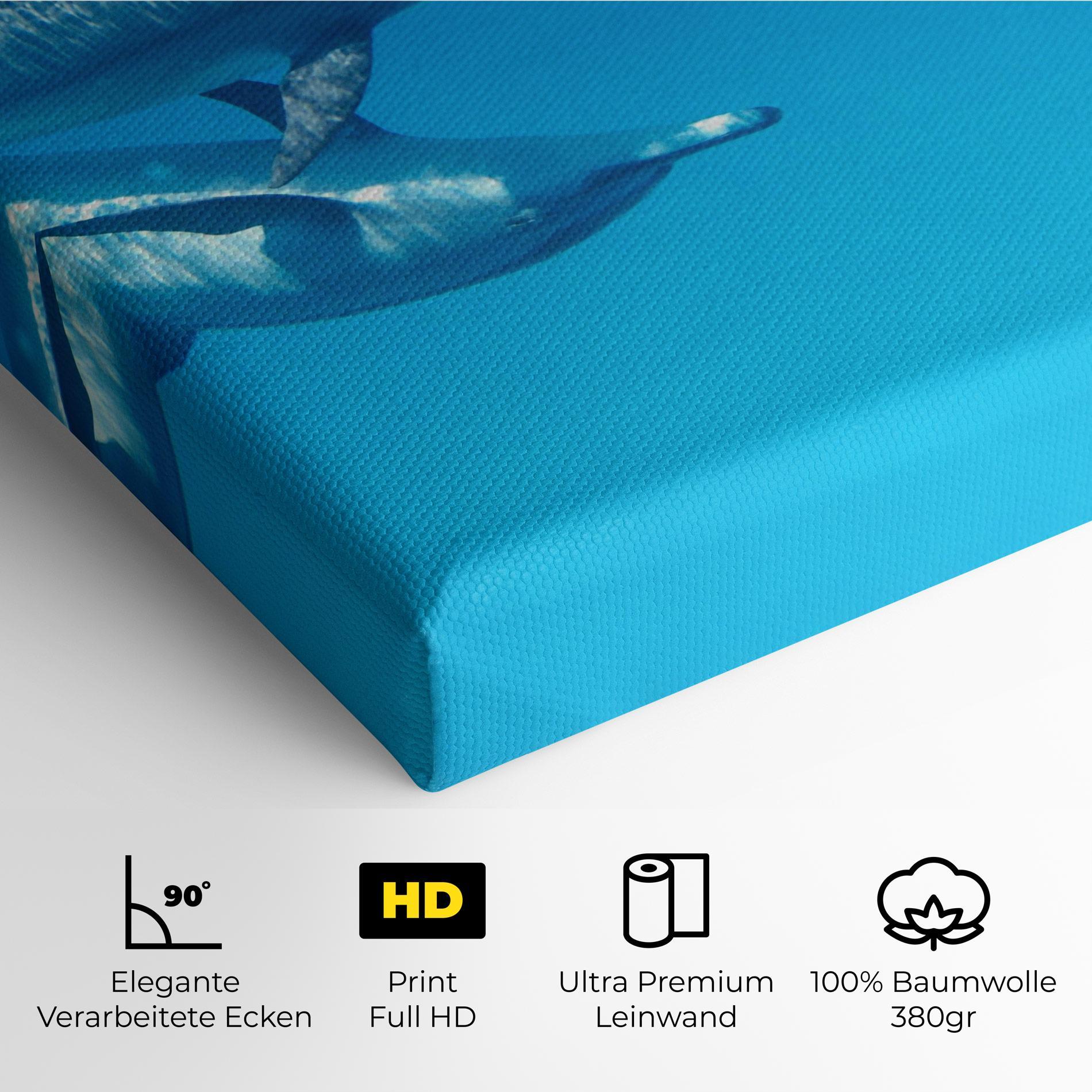 Leinwandbild Family Of Dolphins mockup 4