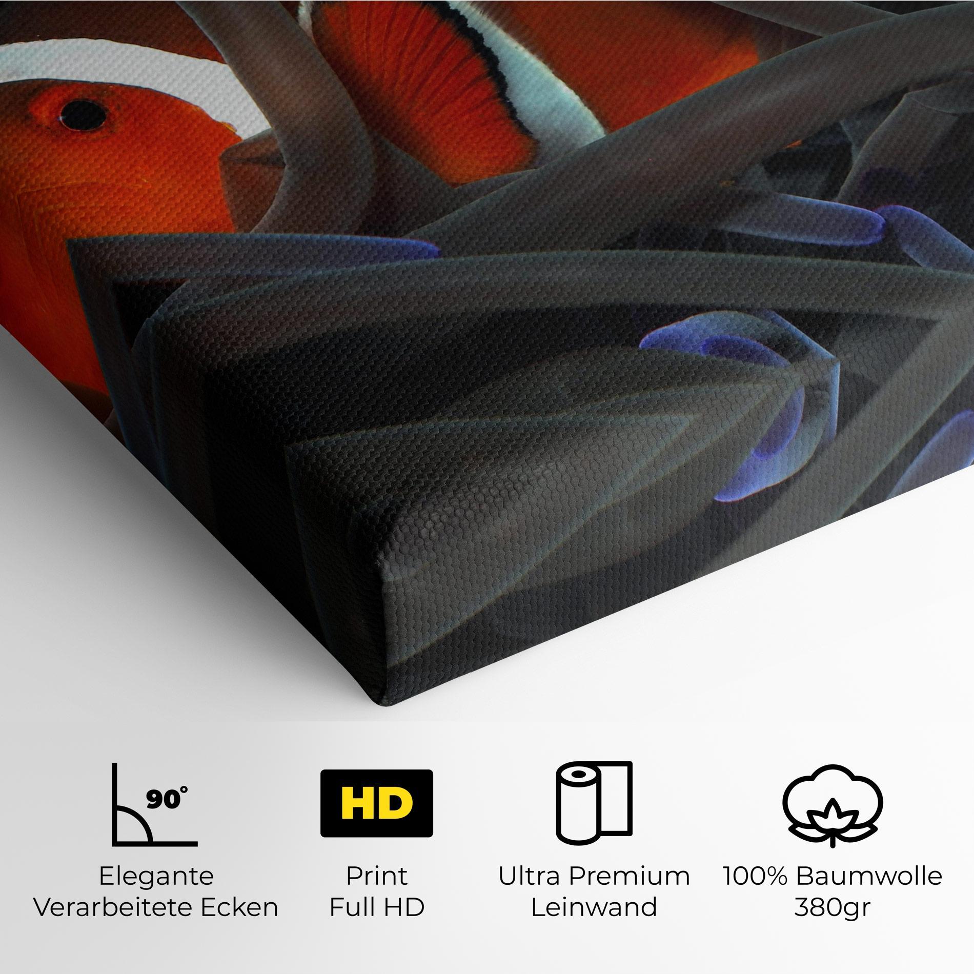 Leinwandbild Nemo Hiding mockup 4